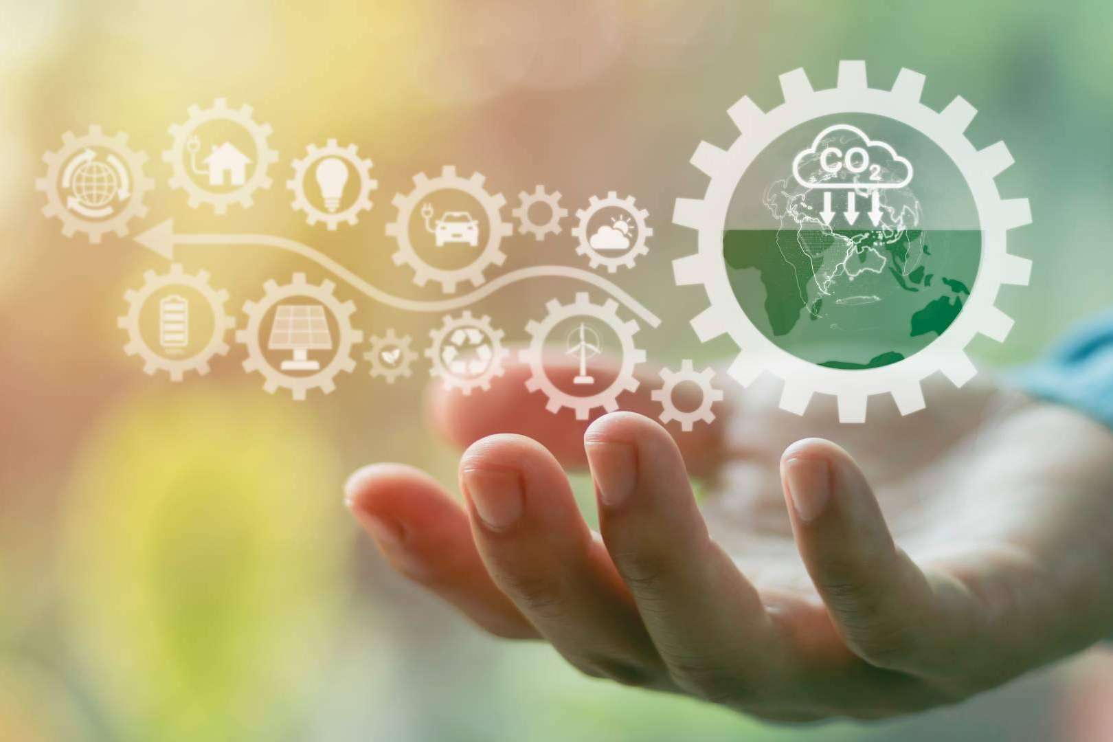 Adquirir bonos de carbono en el marketplace ClimateTrade