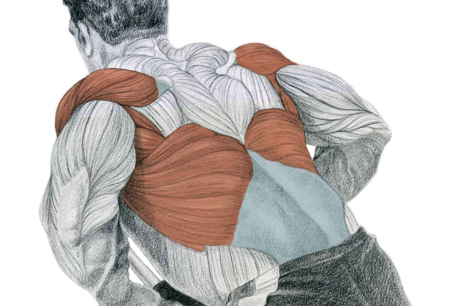 La enciclopedia de musculación de Óscar Morán, un referente a nivel mundial