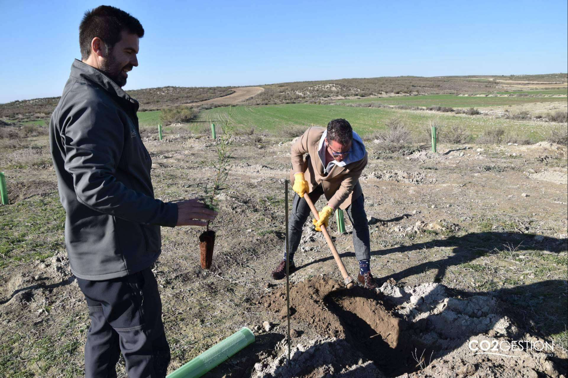 Un nuevo bosque en Zaragoza plantado por ICT Ibérica y Fundación Alcoraz
