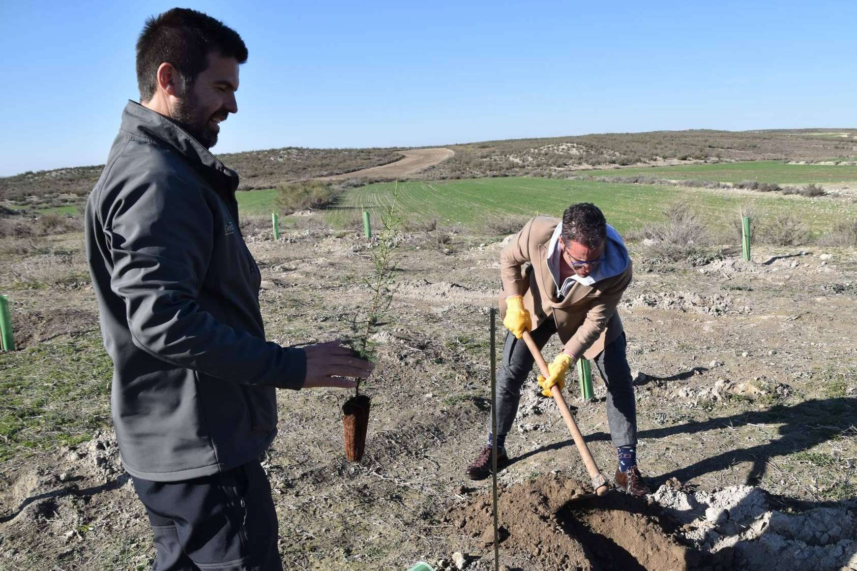 Referentes nacionales en la creación de bosques sostenibles, las grandes marcas combaten el cambio climático