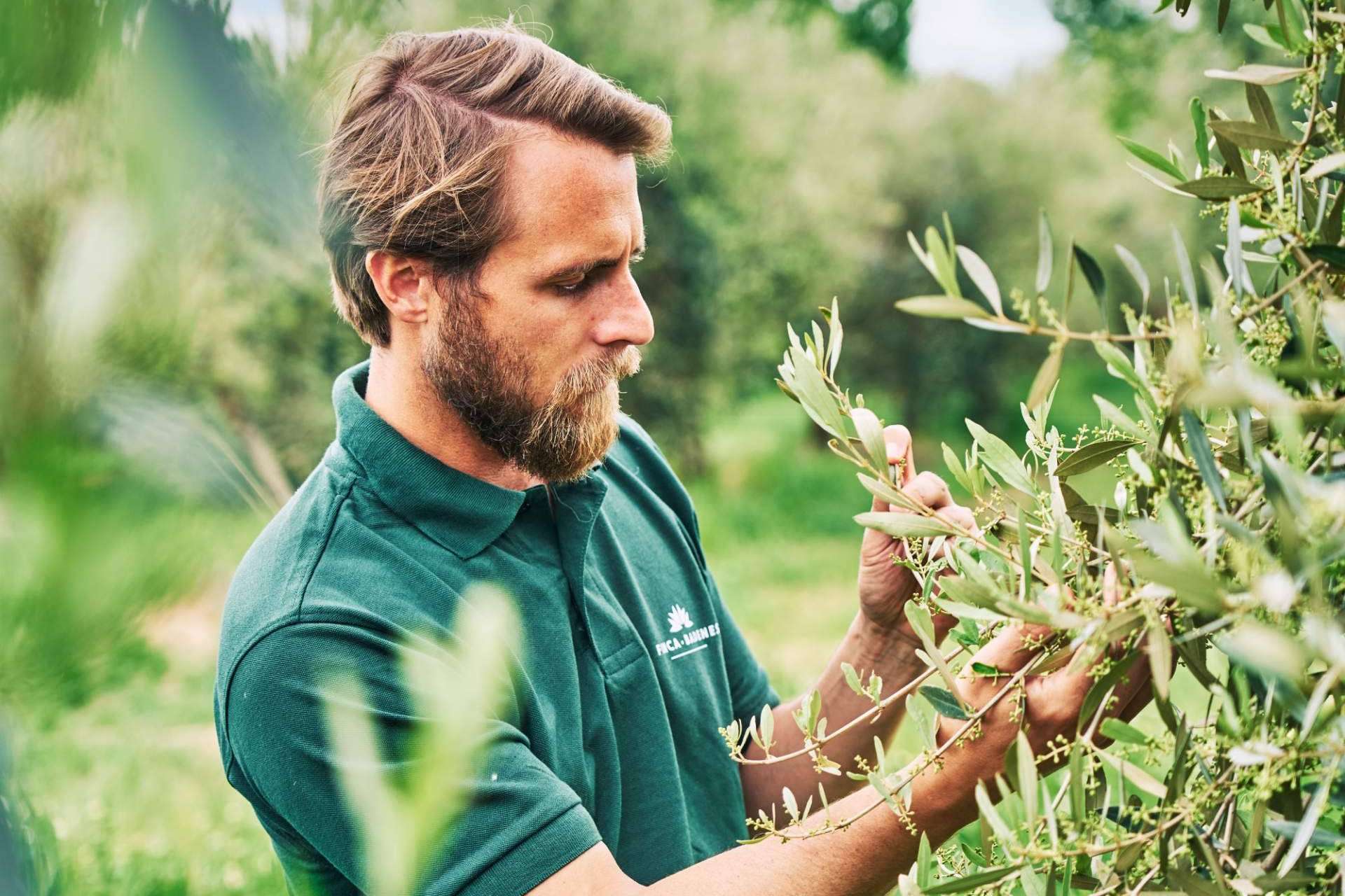 Un Virgen Extra de Edición Limitada, el Finca Badenes de Primer Día de Cosecha de Aires de Jaén AOVE