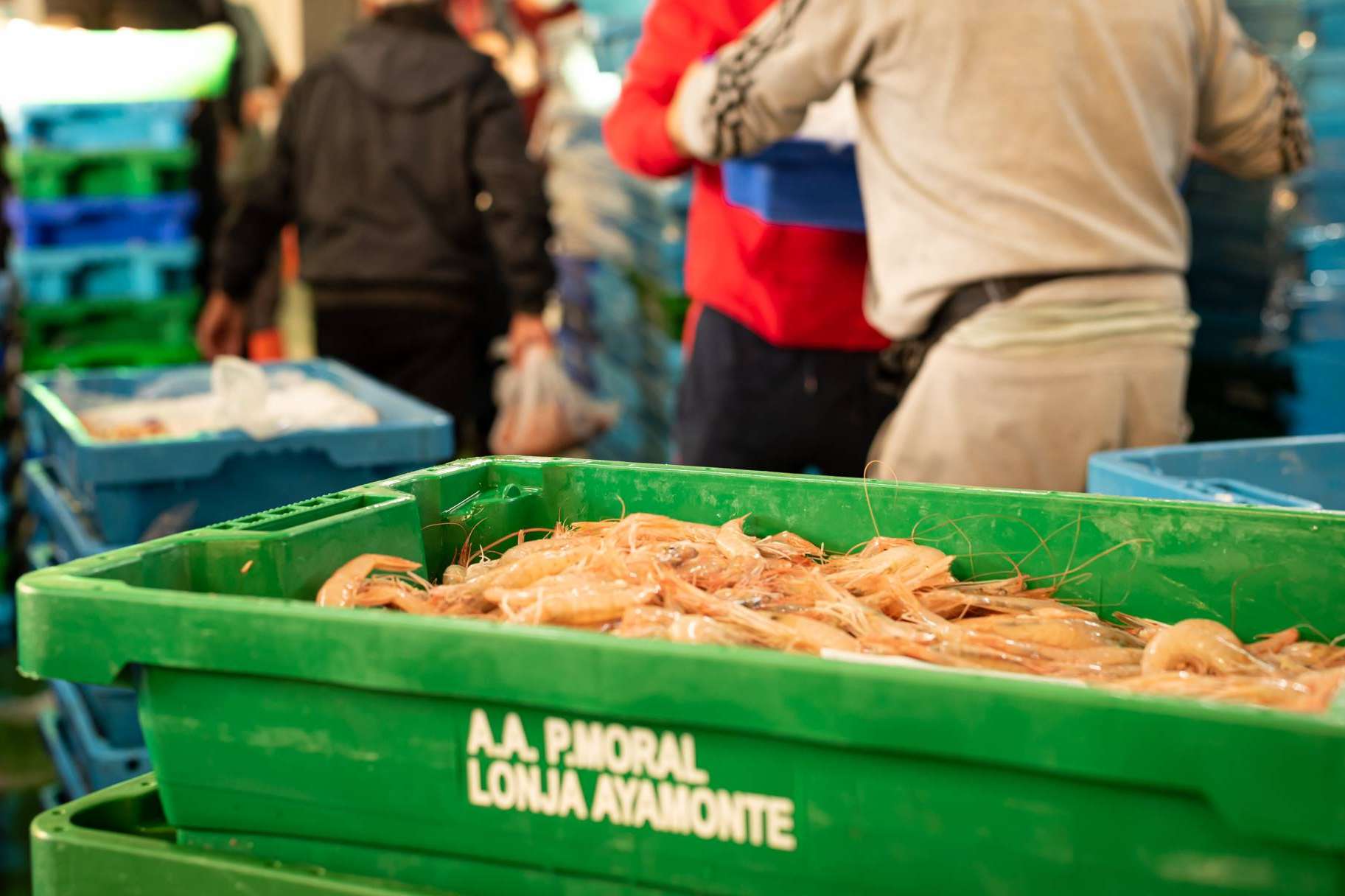 Consumir marisco fresco más delicioso, de la mano de Lonja de Ayamonte