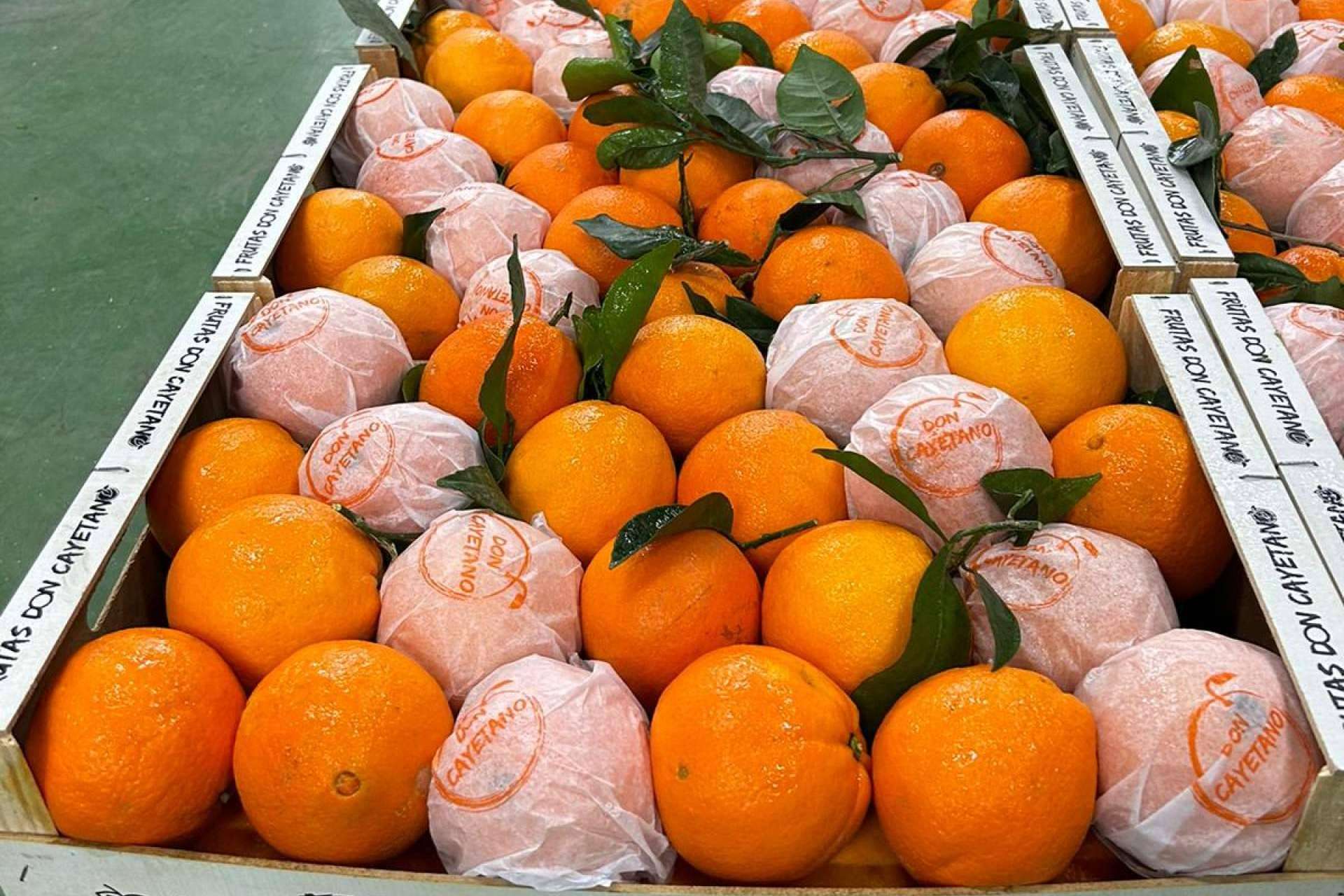 La empresa especializada en la exportación de frutas de hueso y cítricos, Frutas Don Cayetano