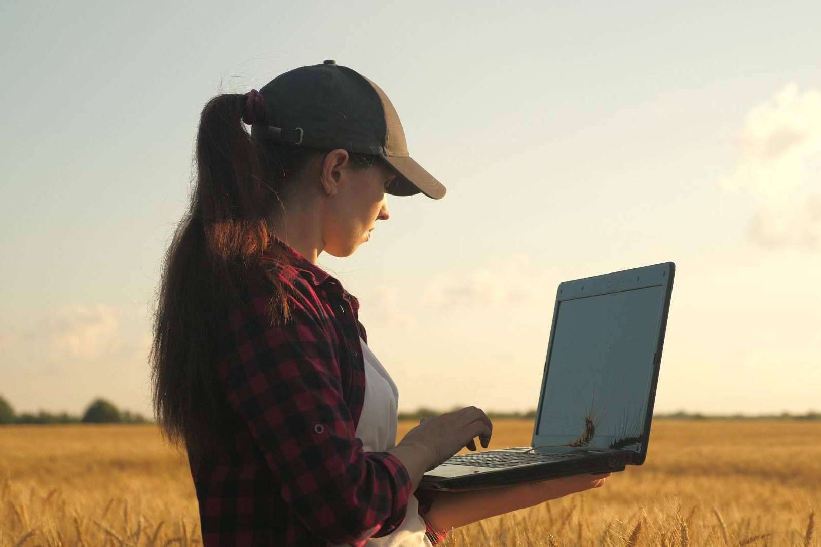 Optimizar la gestión de las explotaciones agrícolas y agropecuarias en España a través de ERP Cuadernos de Explotación, un software de Certitec