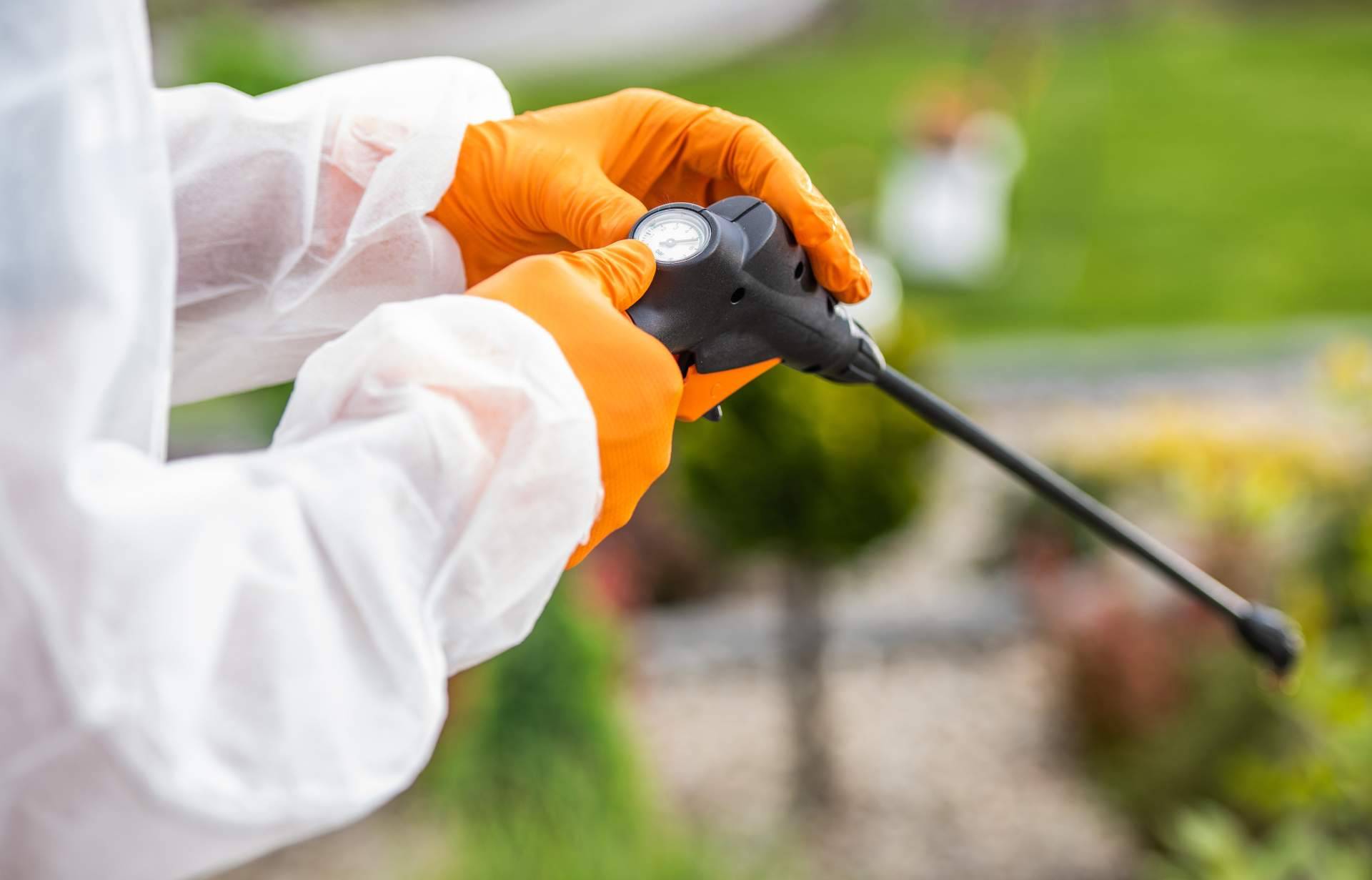 Productos Antiplagas dispone de diferentes trampas e insecticidas para avispas