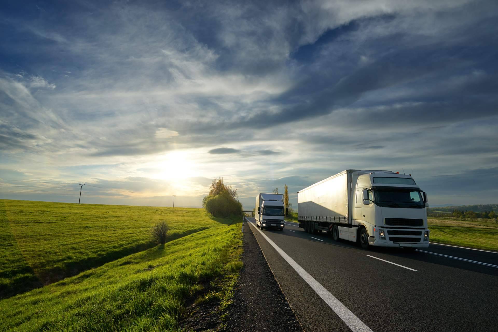 Tecnología y calidad en transporte a temperatura controlada con WeMob