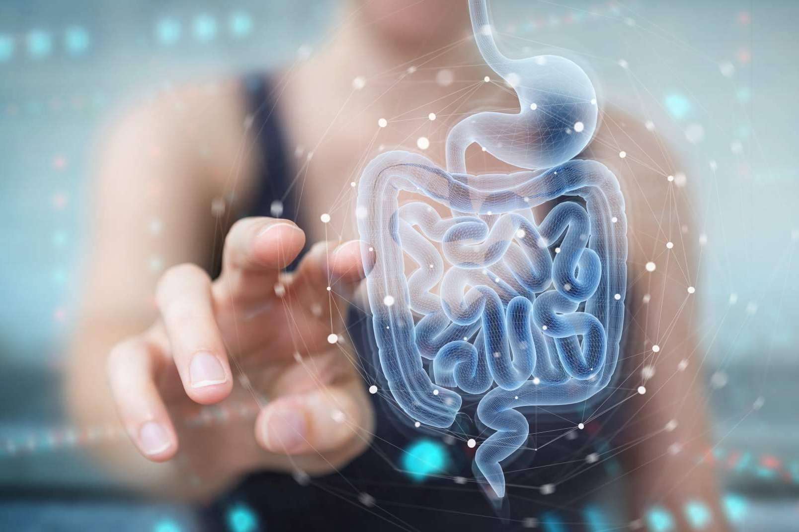 Los probióticos naturales de Bibefy ayudan a mantener una microbiota intestinal saludable