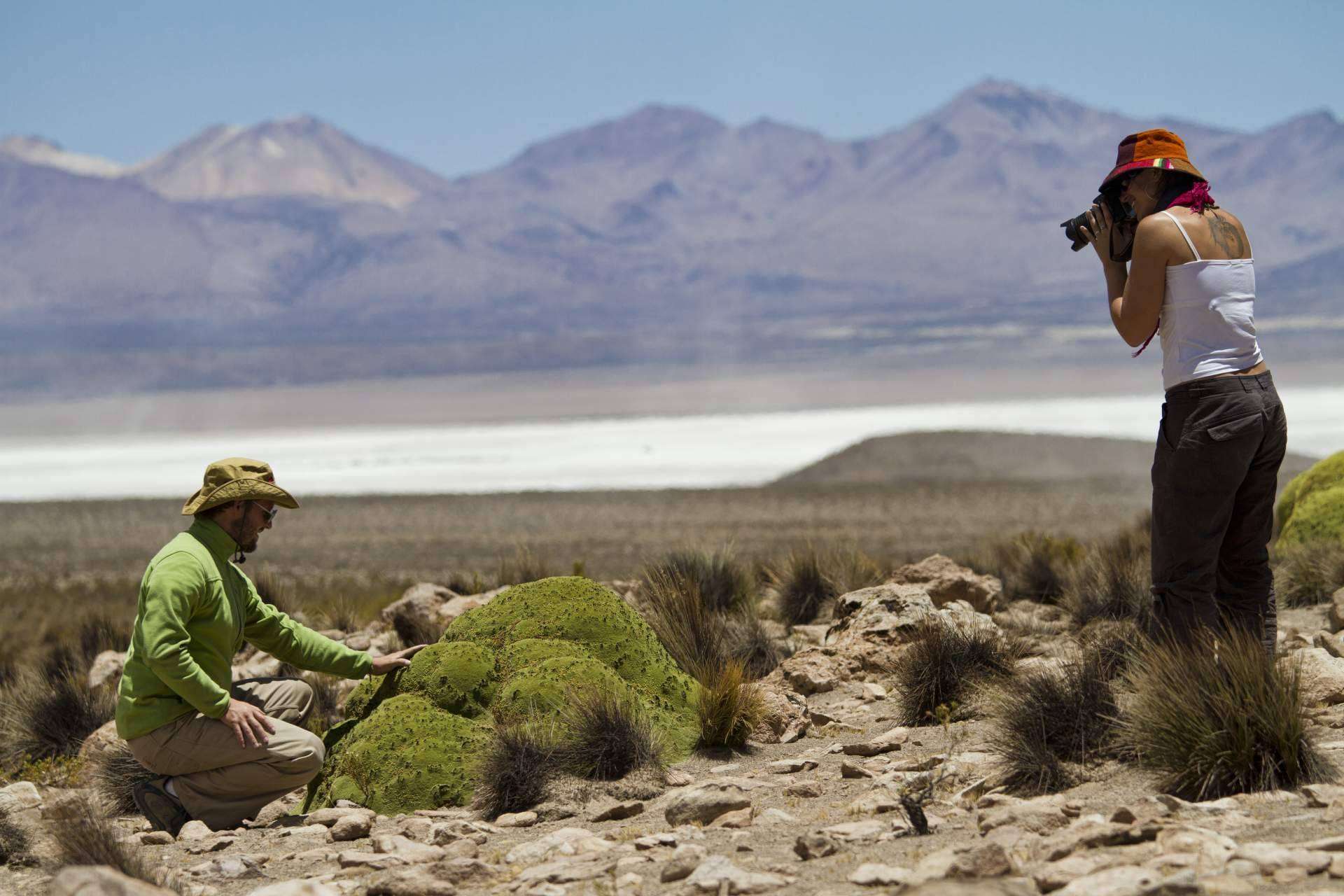 Viajes a Chile, una opción cada vez más elegida por los turistas