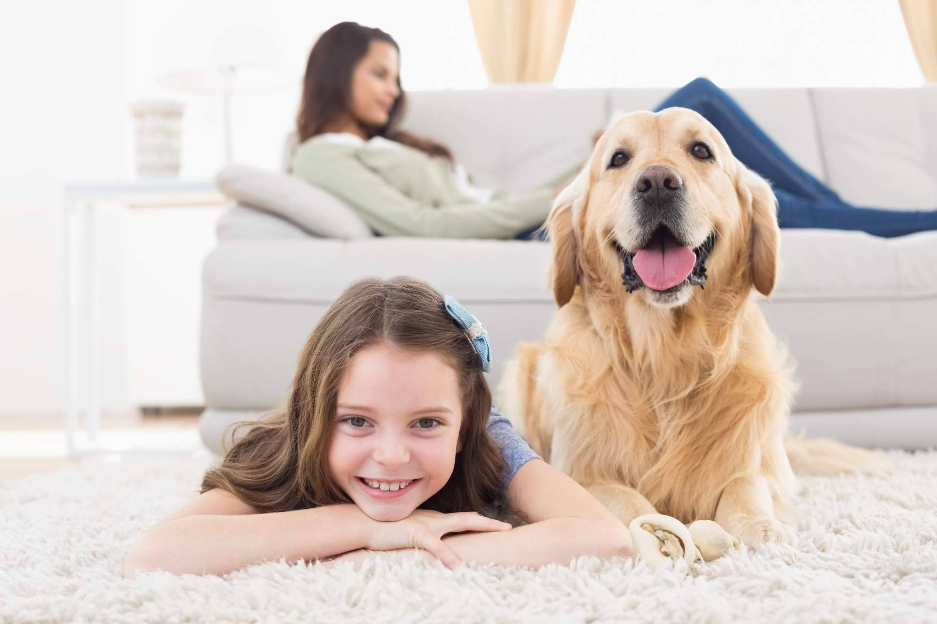 Los beneficios de la sonoterapia en animales de compañía, de la mano de El Perro Feliz
