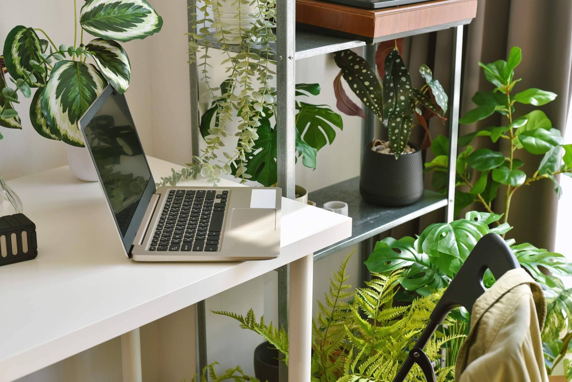 ¿Adiós a las plantas naturales? Averiguar por qué las plantas artificiales decorativas son la nueva tendencia en el hogar