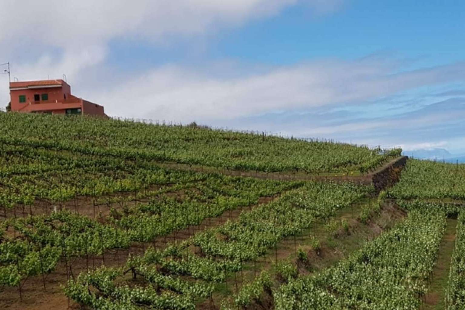 Gloma Travel, la agencia de viajes que organiza el tour de La Ruta del Guachinche en Tenerife