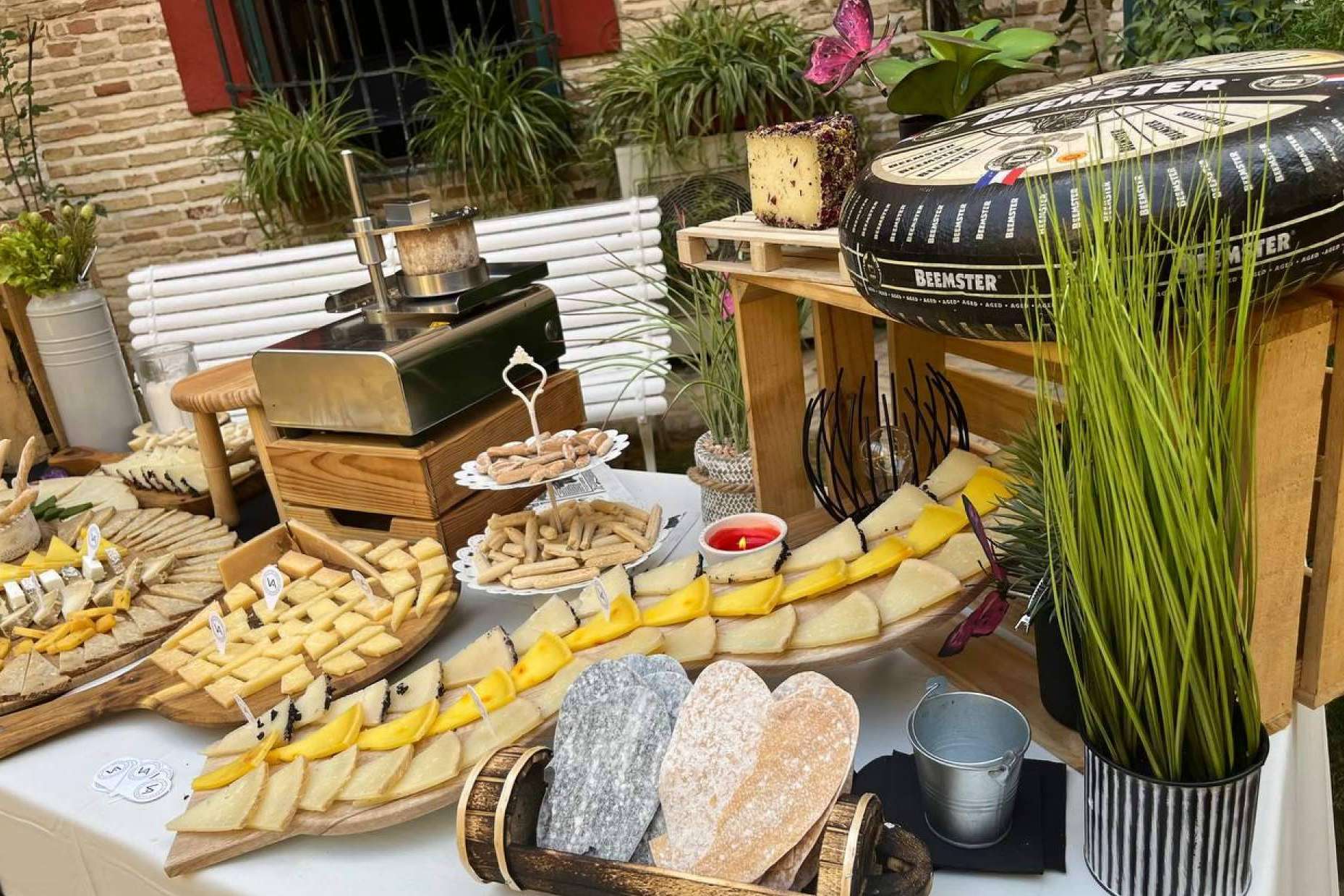 La tienda gourmet de quesos de alrededor del mundo, Valle de Aras