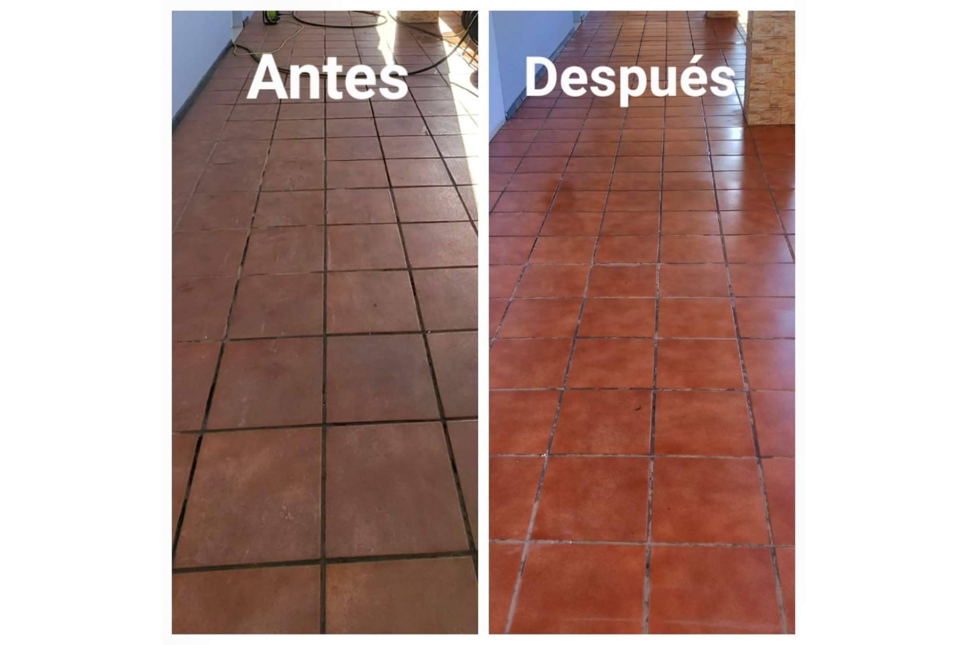 Edificios limpios y la importancia de los servicios de limpieza exterior en un negocio