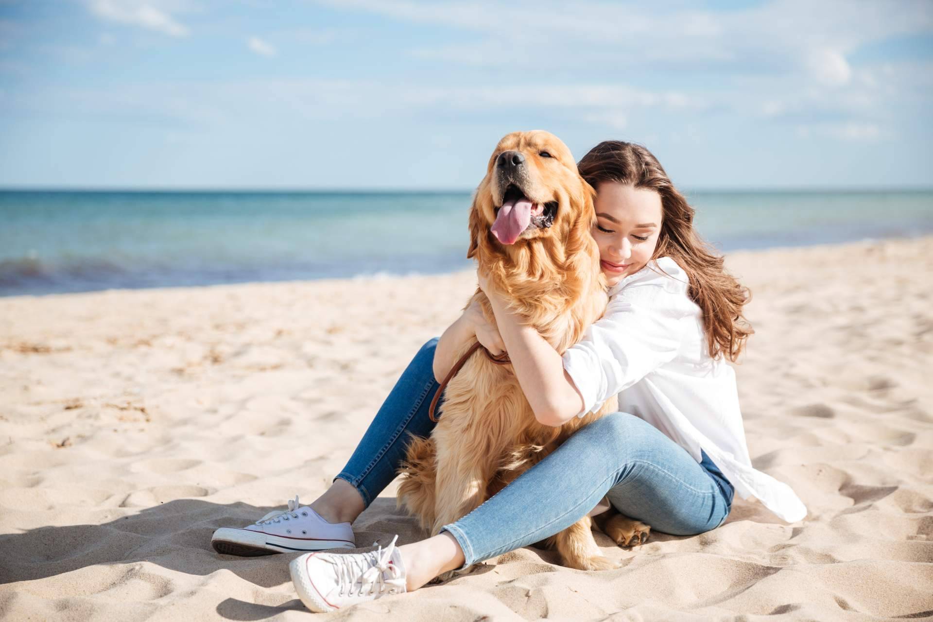 ¿Por qué optar por la adopción de perros mayores?