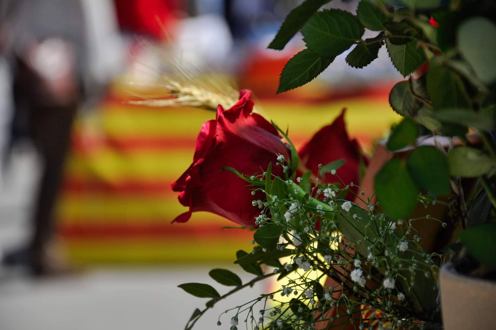¿Cómo nació la tradición catalana de las rosas y los libros de Sant Jordi?