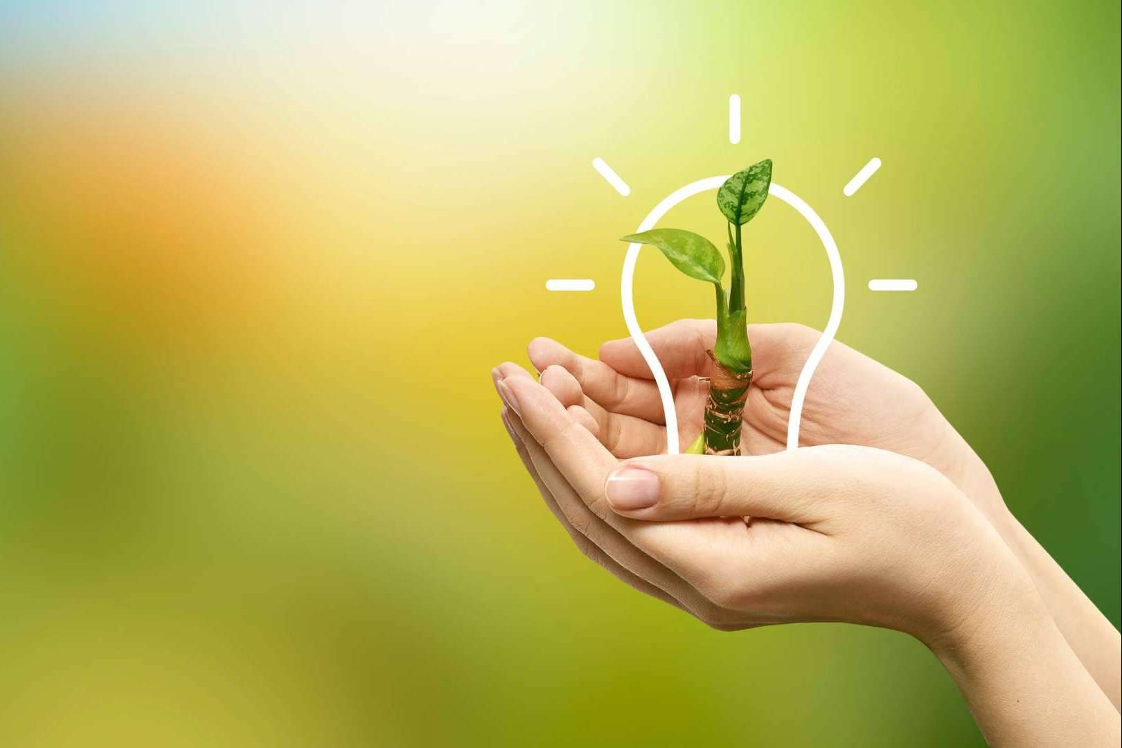 Multienergía Verde afianza su crecimiento y estrategia a largo plazo, siendo compañía Cepyme 500 por tercer año