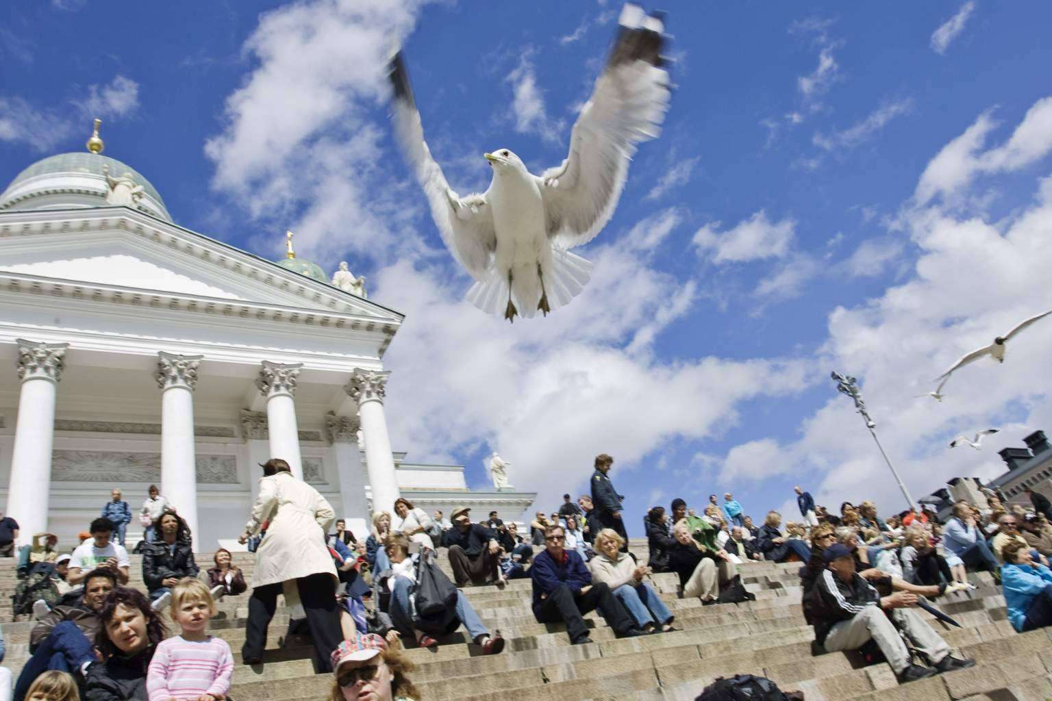 Viada Tours dispone de City Tour Helsinki Verano 2023