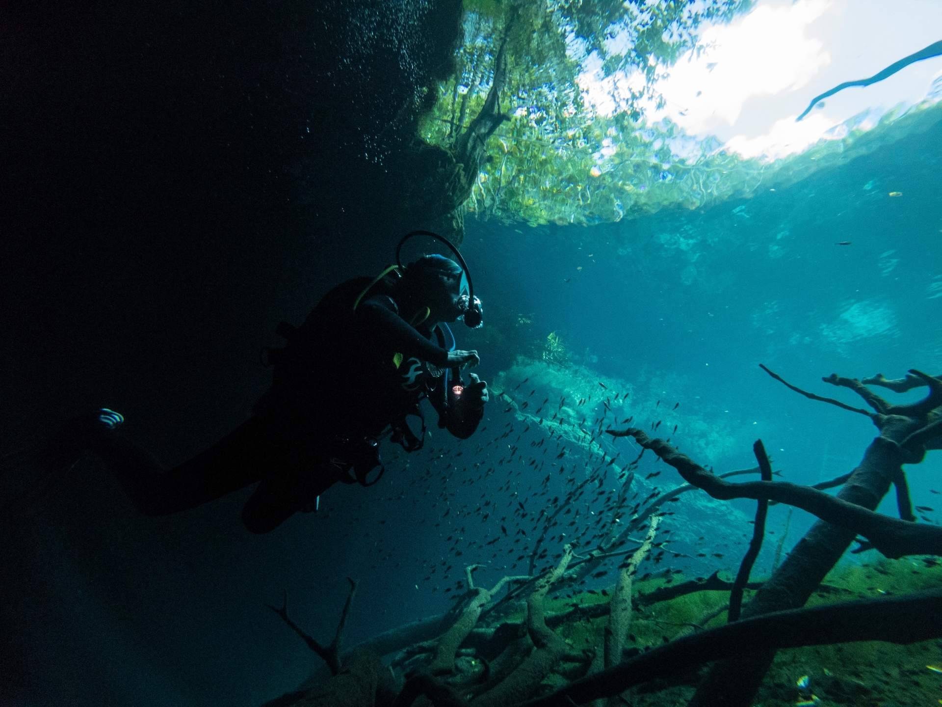 Underwater Barcelona ofrece un curso Open Water Diver PADI para realizar en las playas de Barcelona