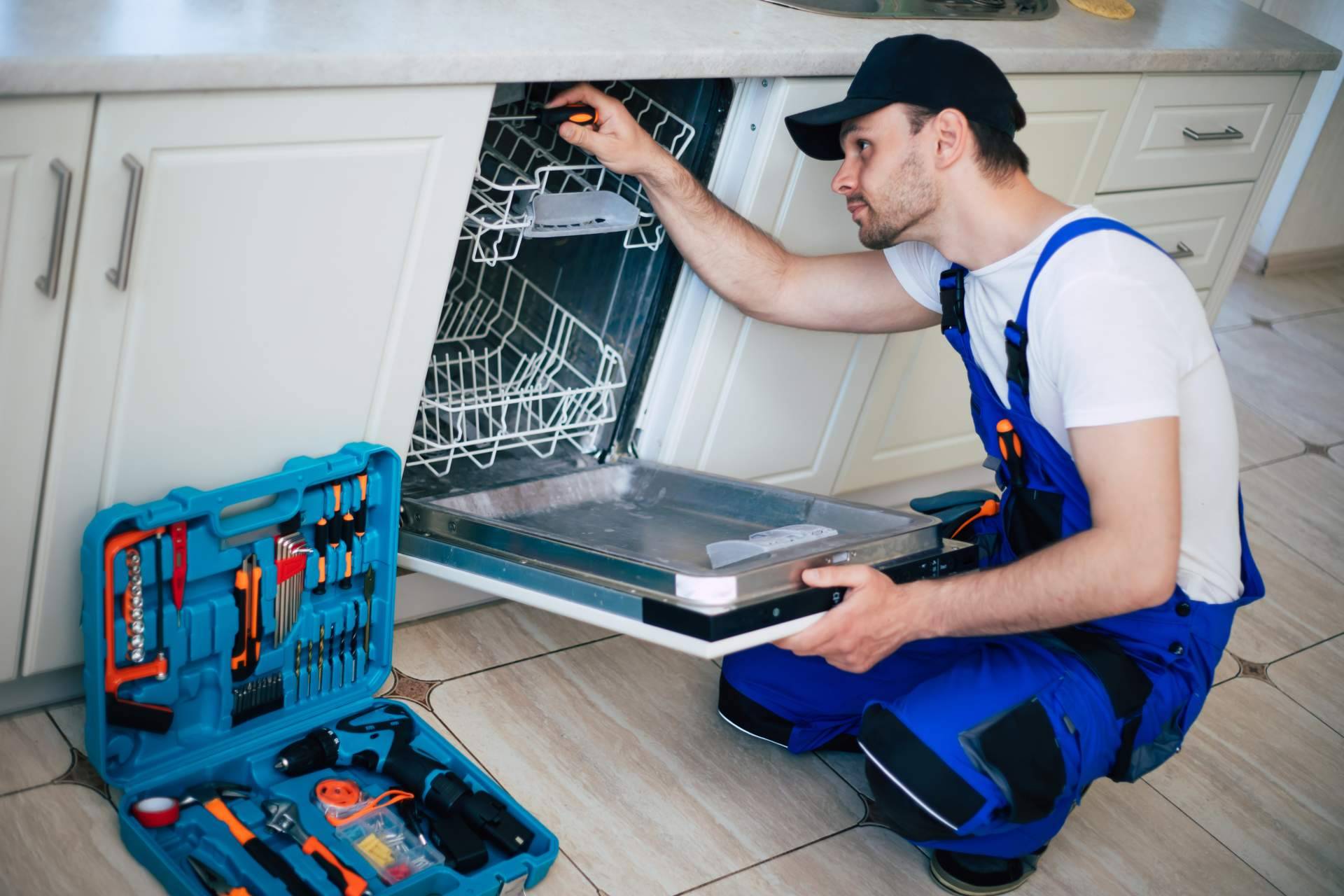 ¿Dónde reparar en Cádiz un lavavajillas AEG averiado?