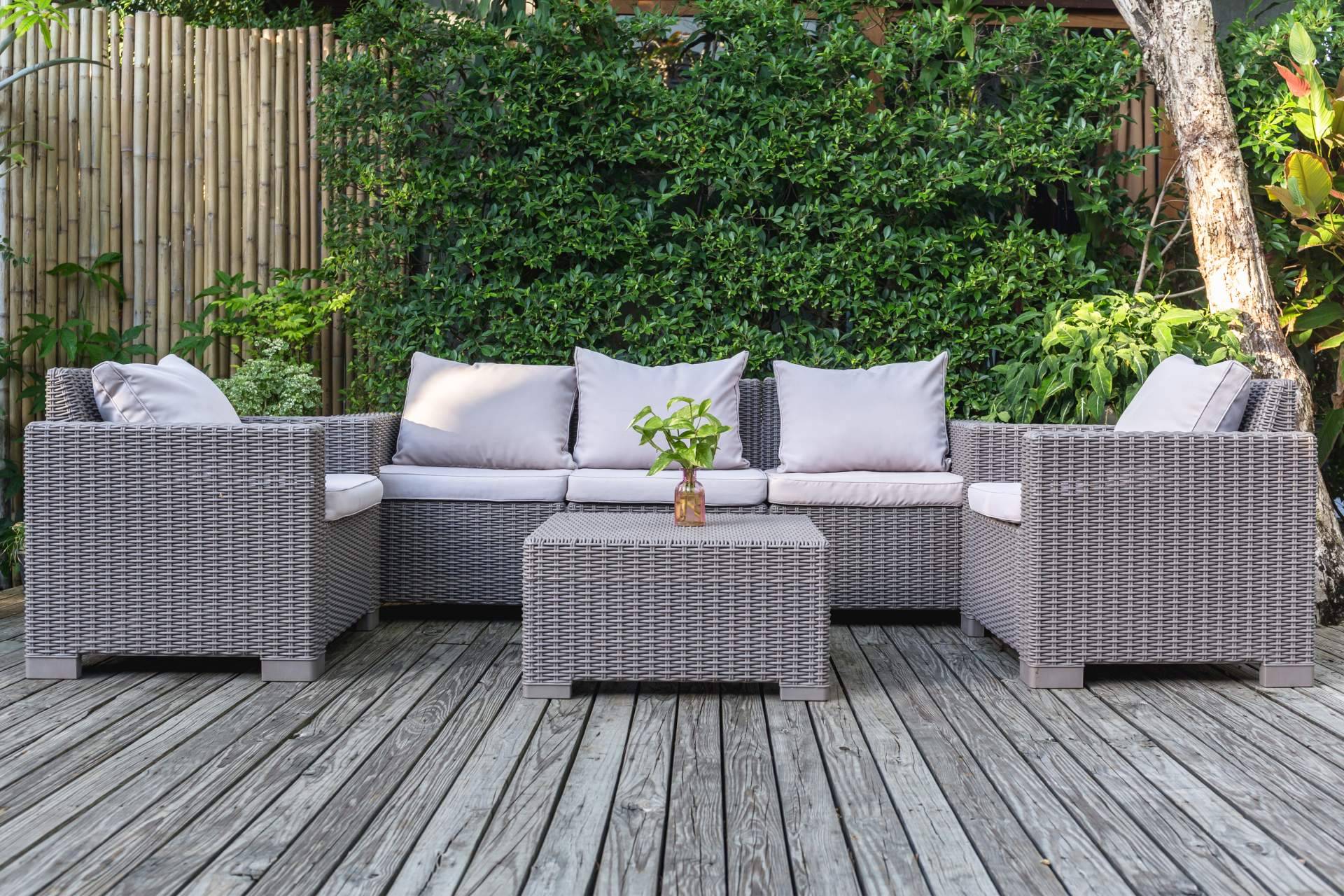 JardinVertical.es y los beneficios de sus plantas de pared colgantes