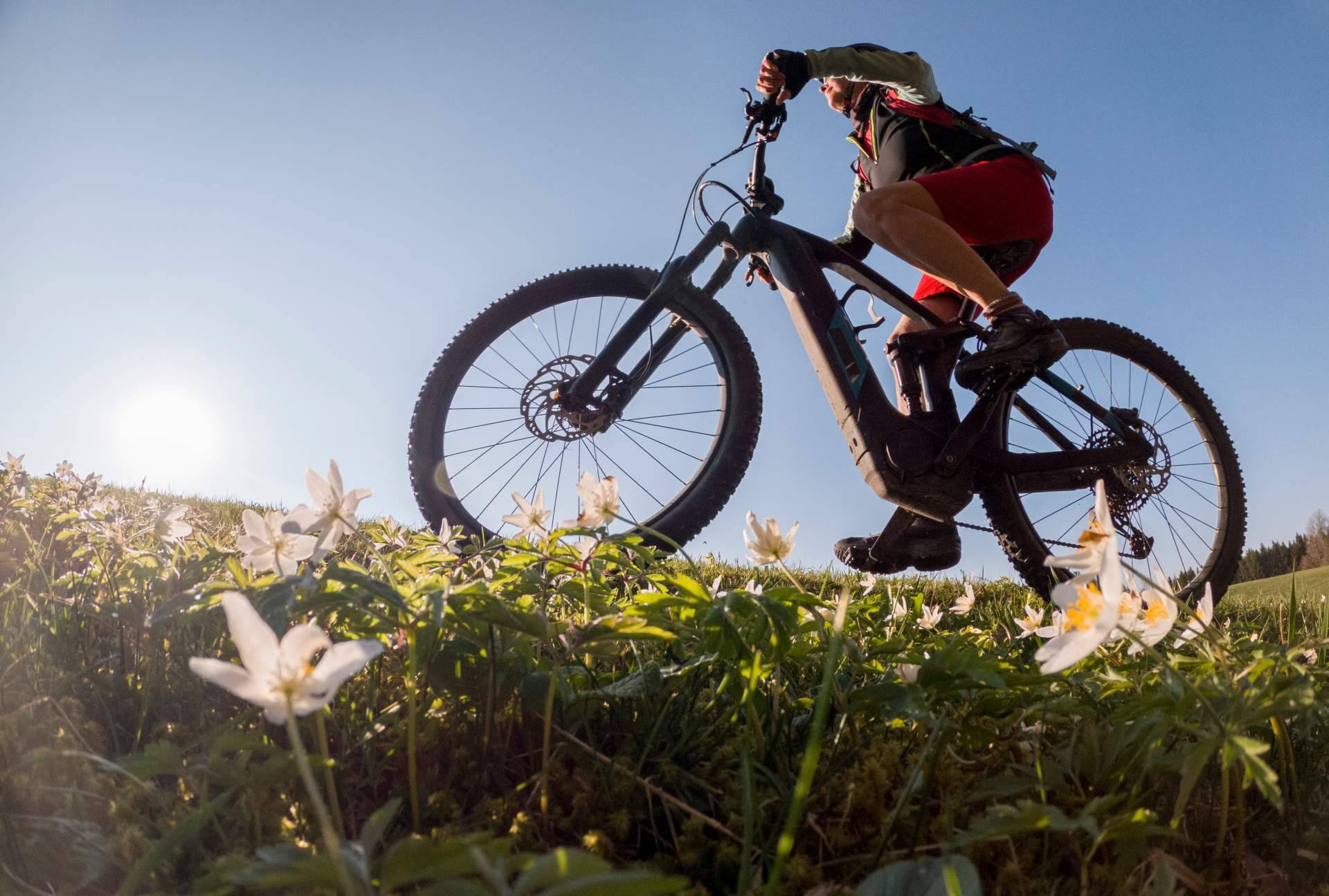 Iniciarse en bicicleta respetando el medio ambiente con la e-bike de Zenith Aventura