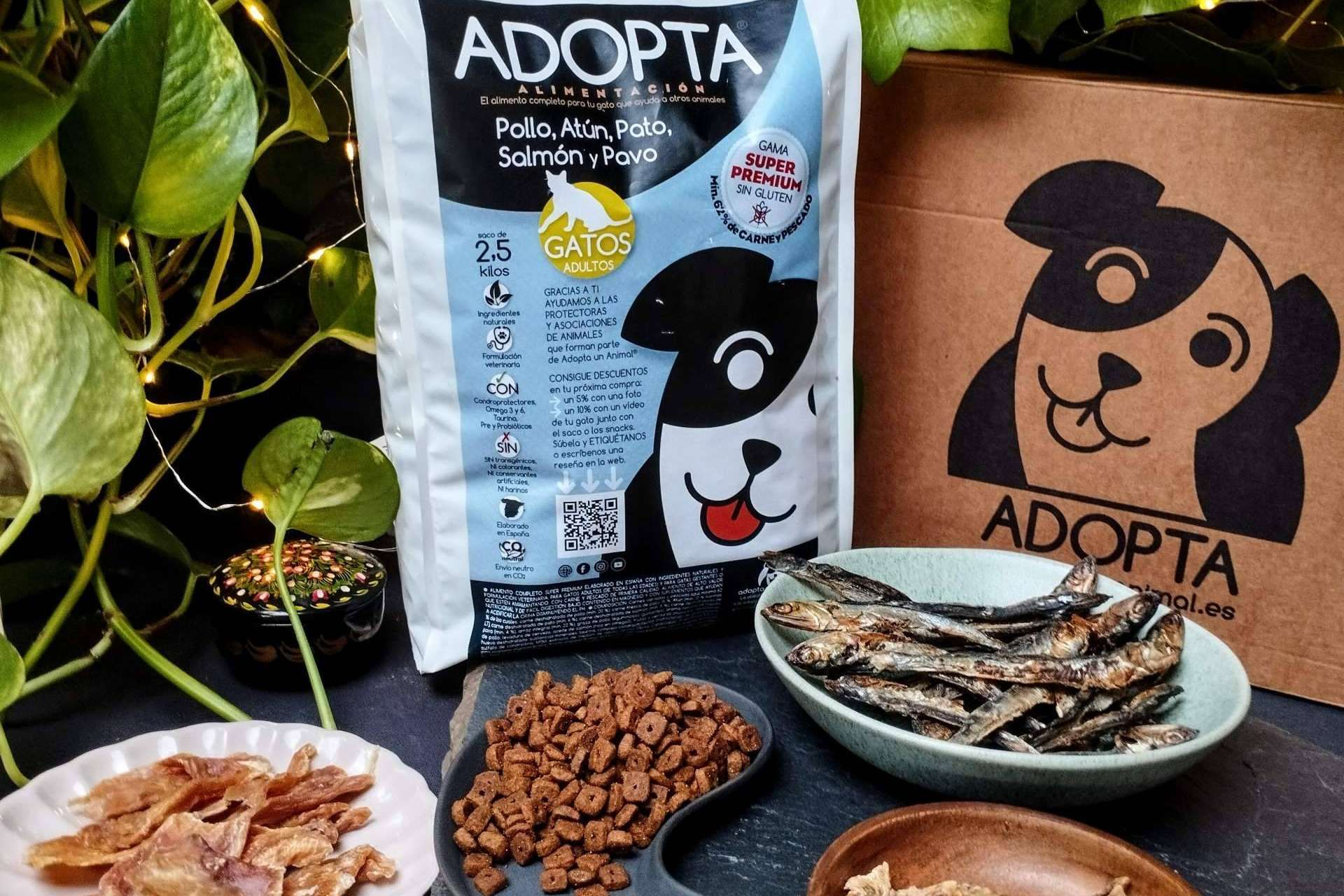 Cómo es el pienso extra de carne para gatos que está revolucionando la alimentación felina
