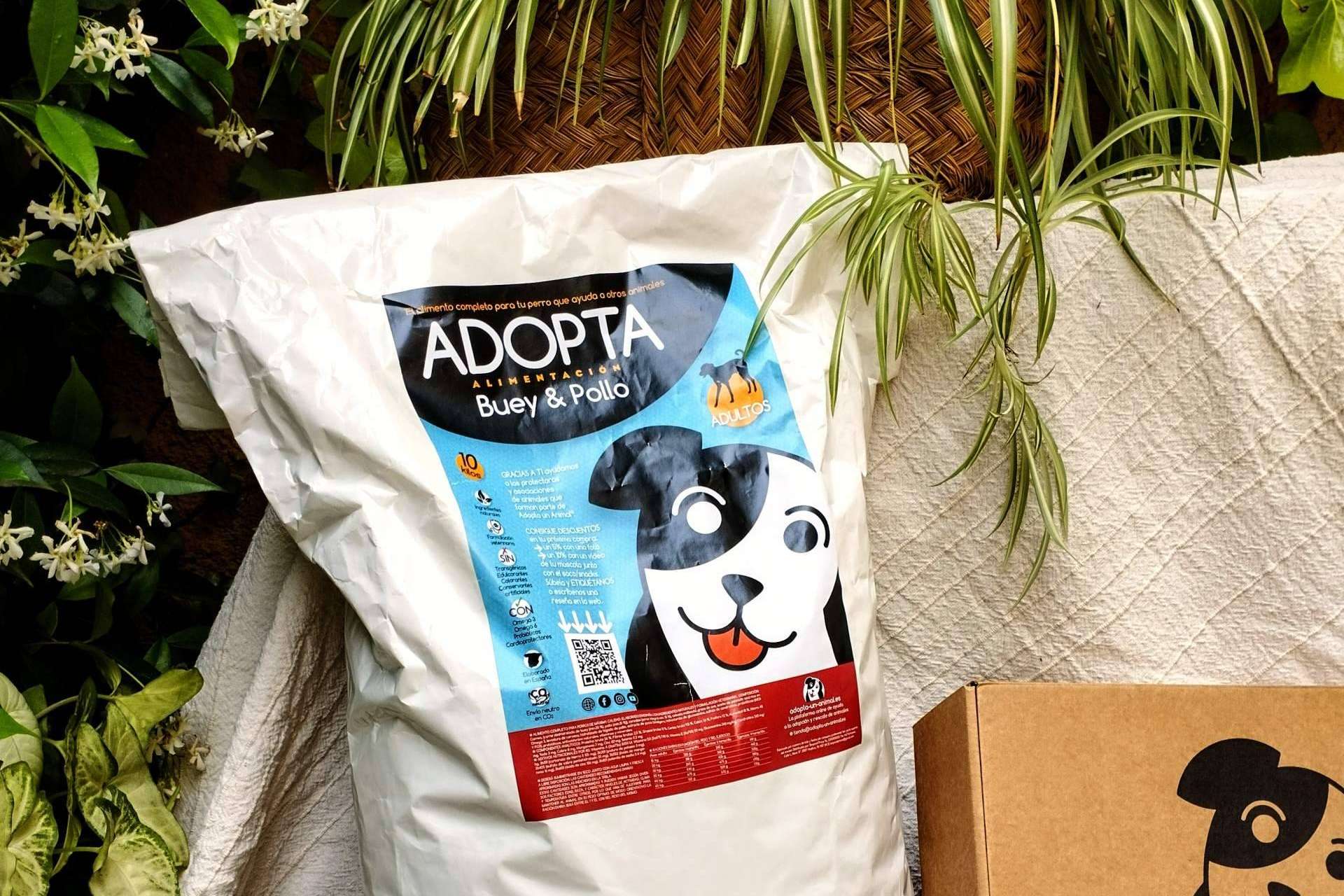 Pienso light de mantenimiento para perros adultos, el alimento ideal para cualquier perro