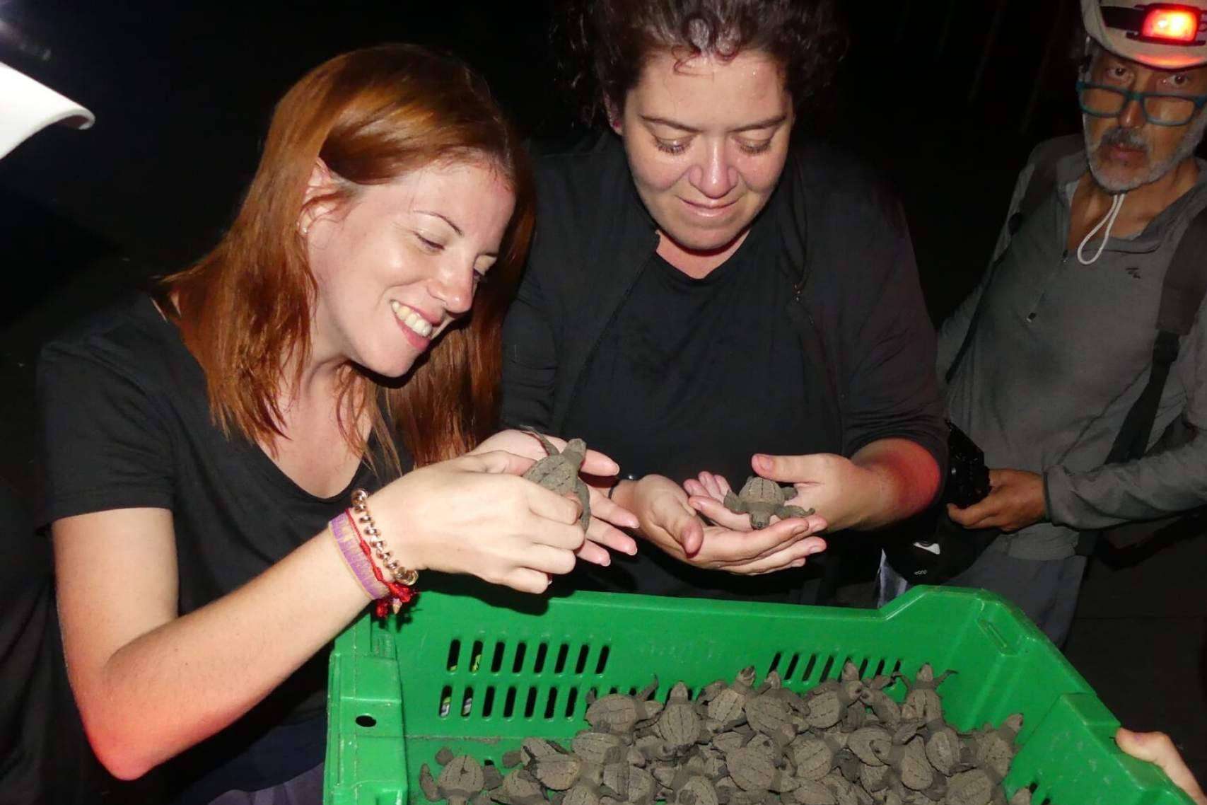 Una manera de vivir voluntariados ambientales internacionales, de la mano de ONGVoluntariado