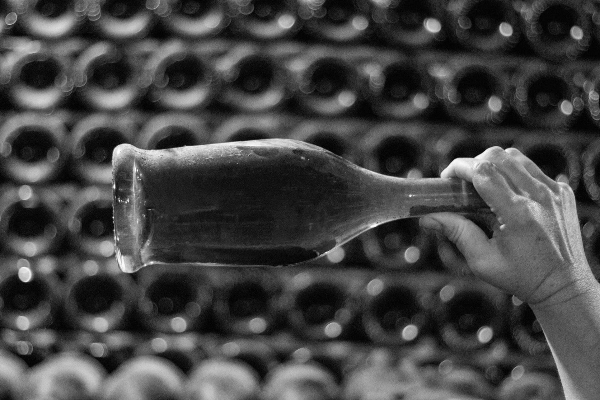 Naturelovers Wines cuenta con una variedad de cavas seleccionados de la prestigiosa marca Robert J. Mur