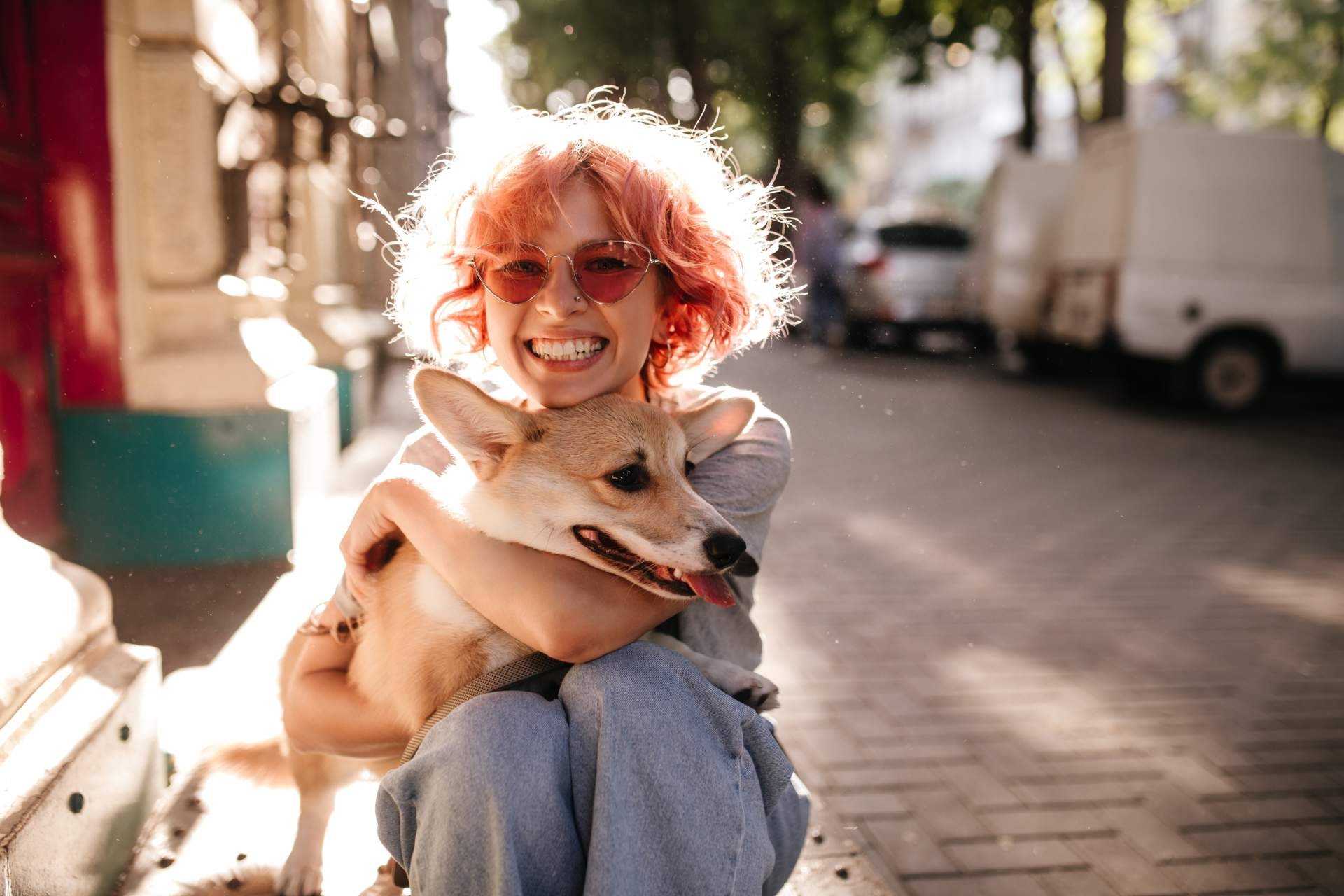 Cómo es la plataforma gratuita para protectoras y asociaciones de animales que está cambiando la vida de los animales abandonados