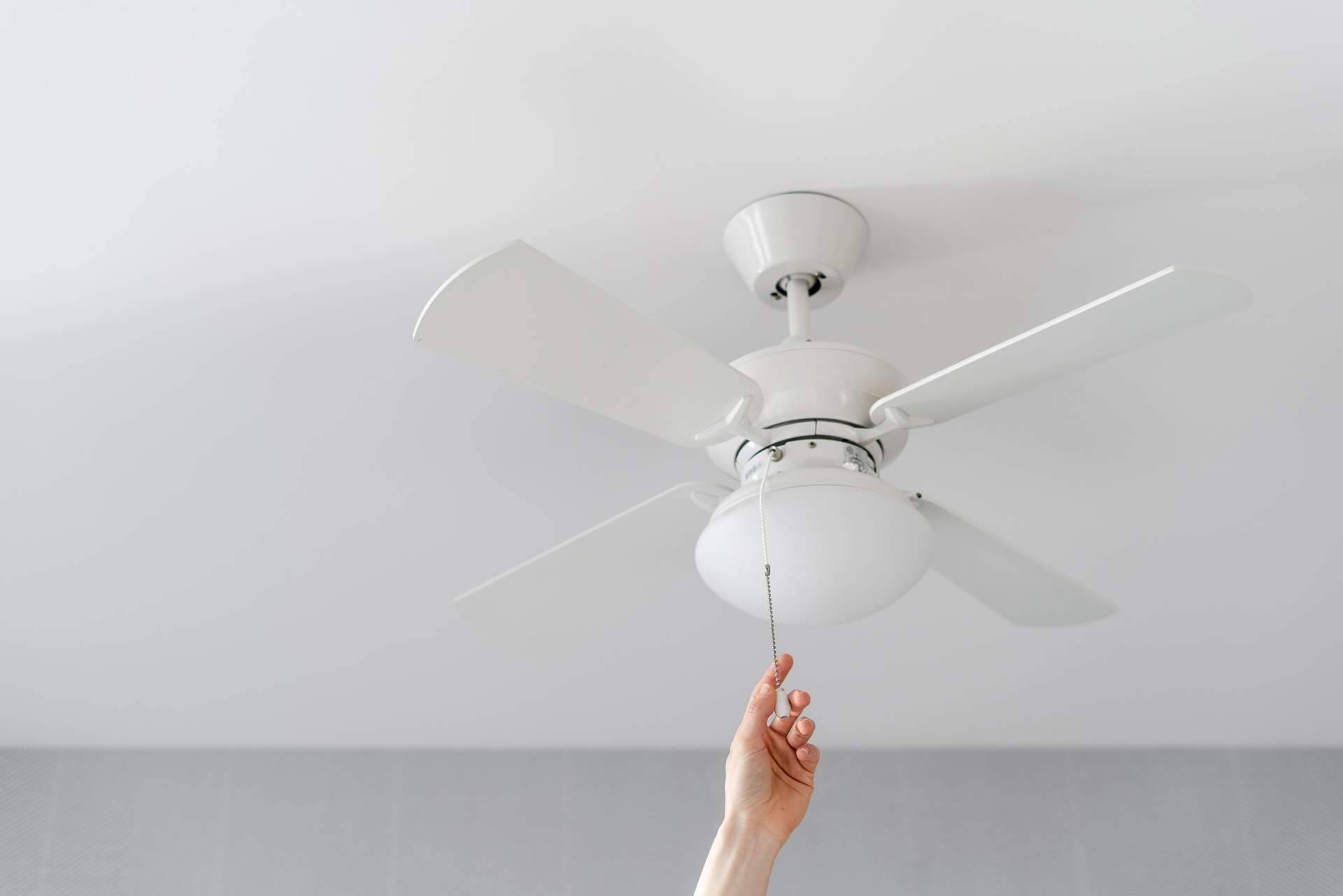 La Tienda de Electricidad arrasa con los ventiladores de techo para este verano