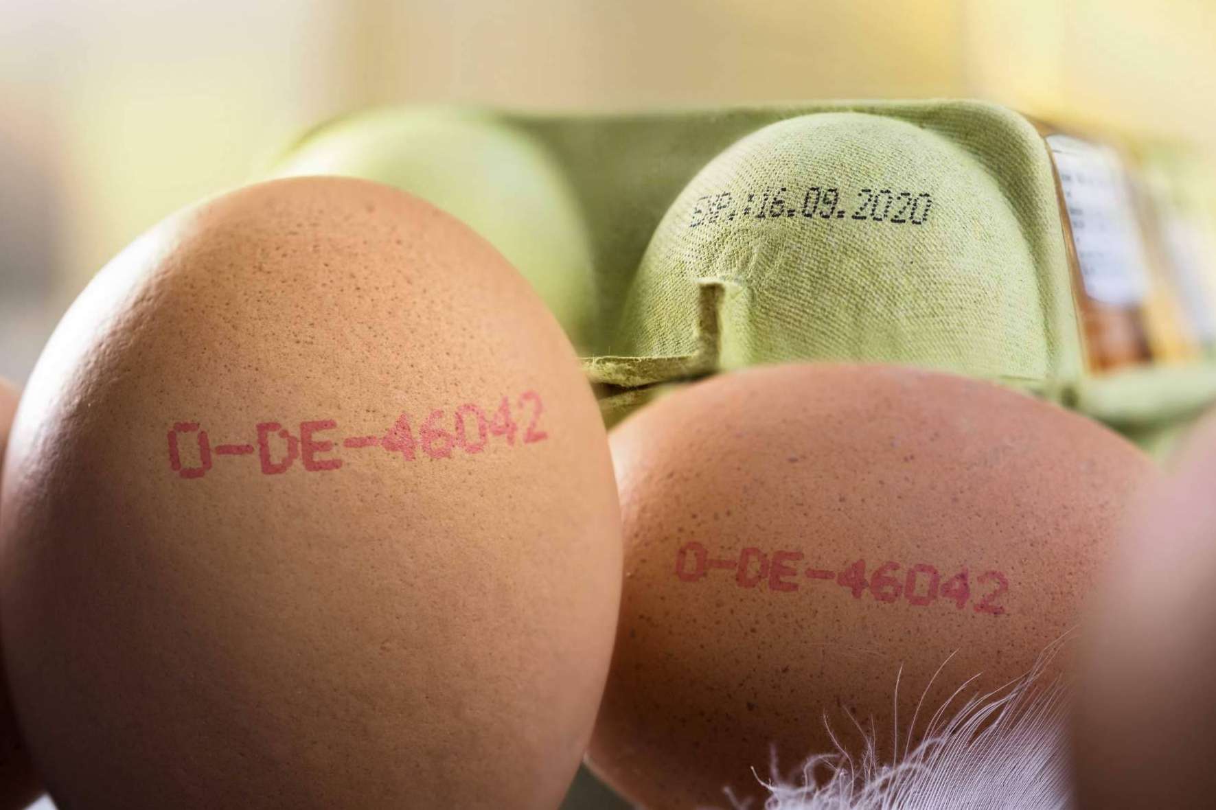Codificación de los productos que se venden en el supermercado, de la mano de Trébol Group