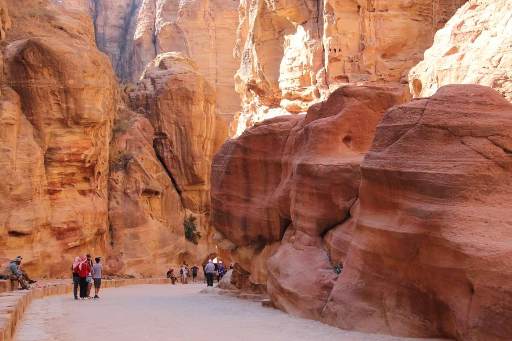 El tour por Egipto y Tierra Santa de EUROLATINO