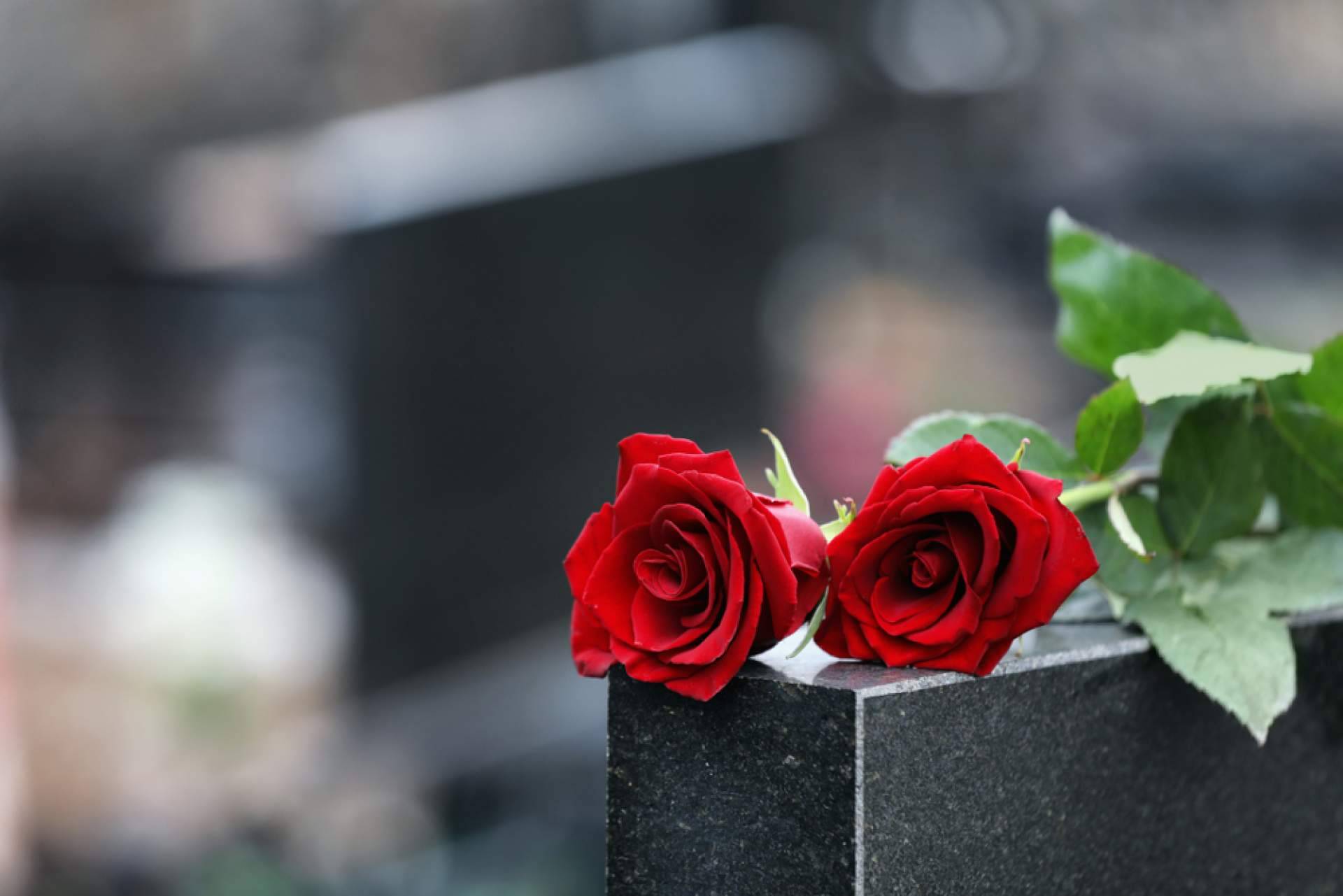 ¿Cómo diferencia de la competencia contar con un buen ERP de gestión funeraria?