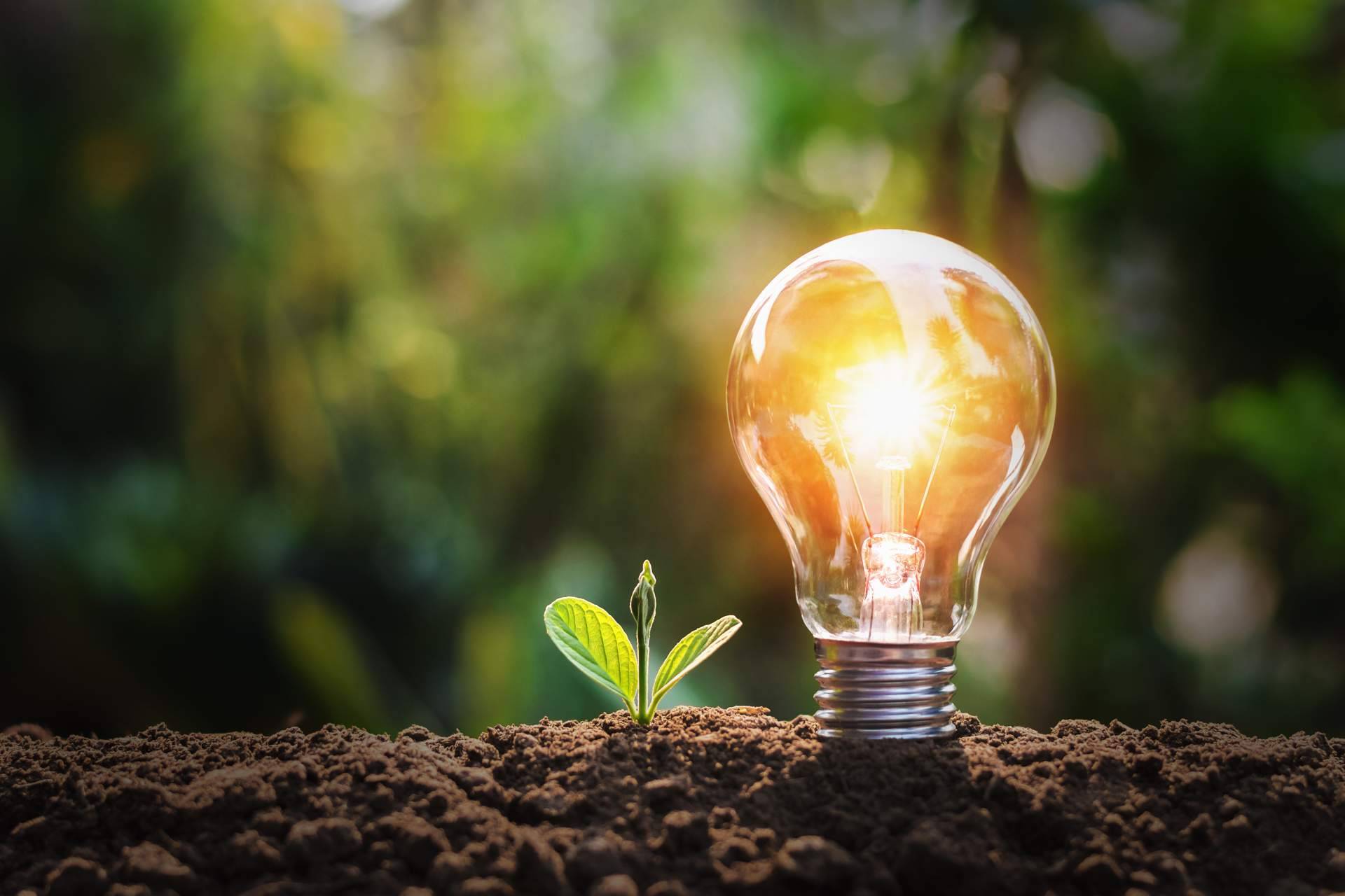 Estar al día sobre las últimas noticias de las energías renovables con The Reason Behind
