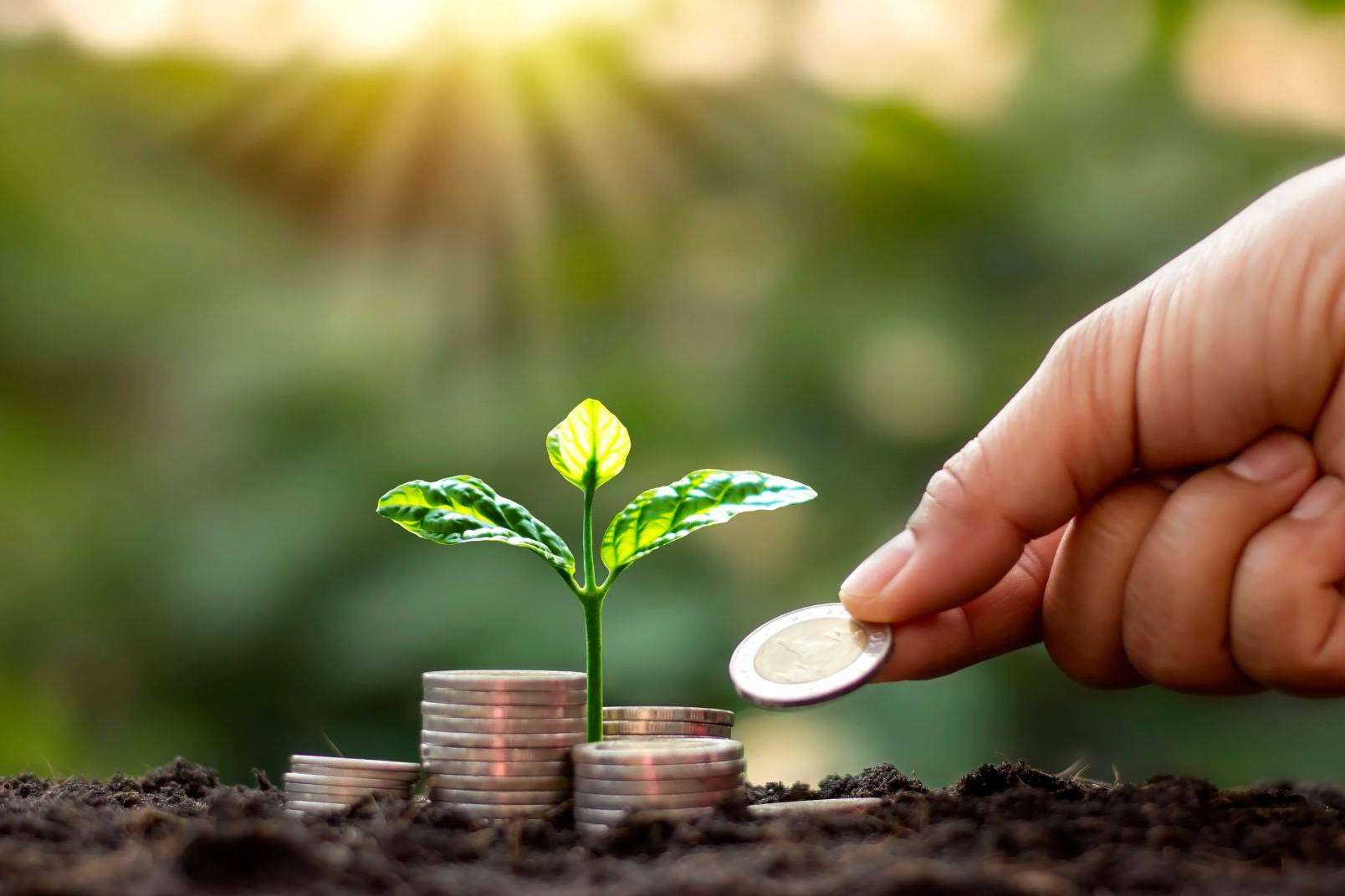 Una de las mejores tarifas de gas natural de este verano para empresas la ofrece Eneryou