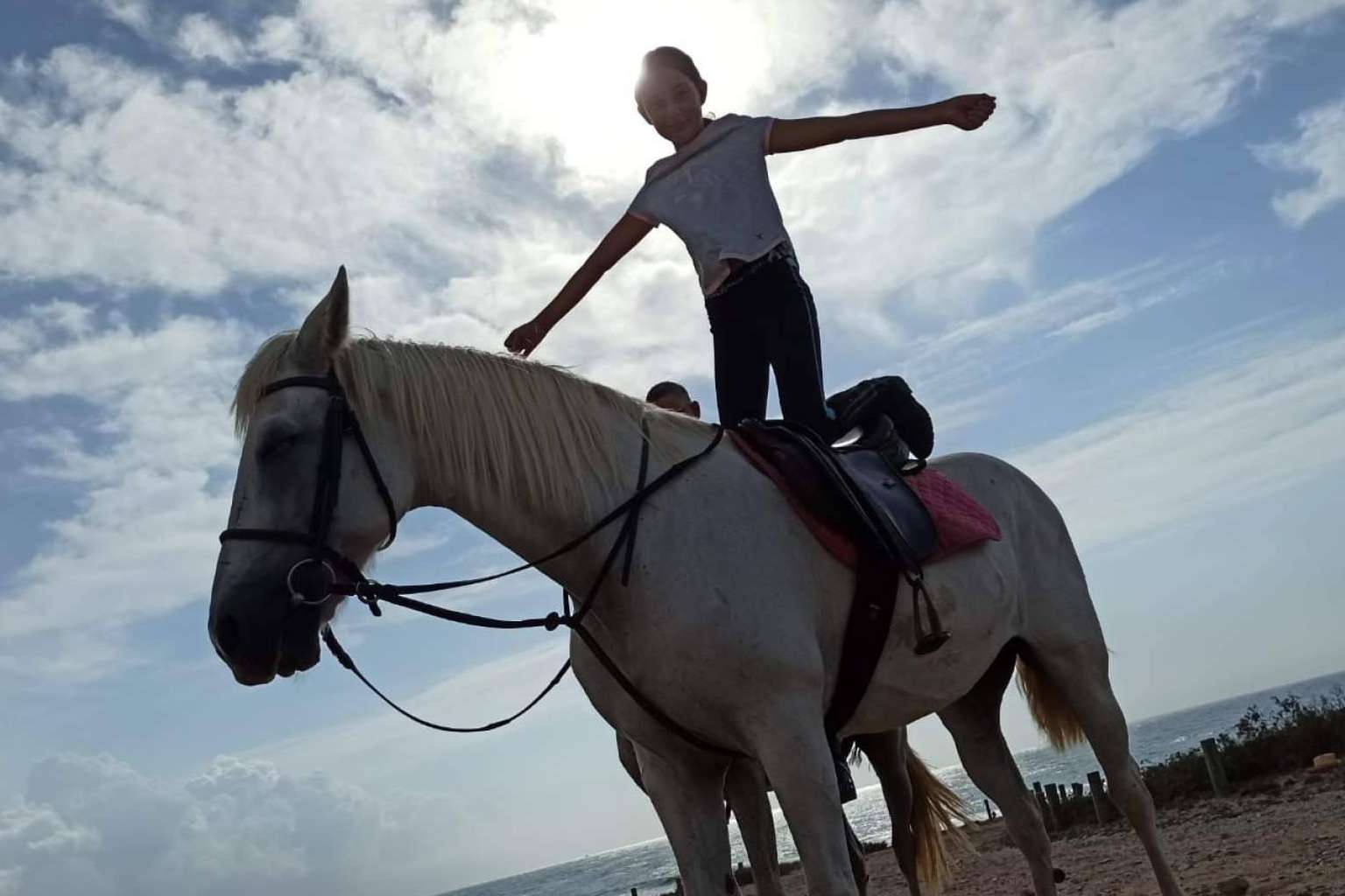 Explorar todo lo que Cartagena puede ofrecer a sus visitantes con Planout