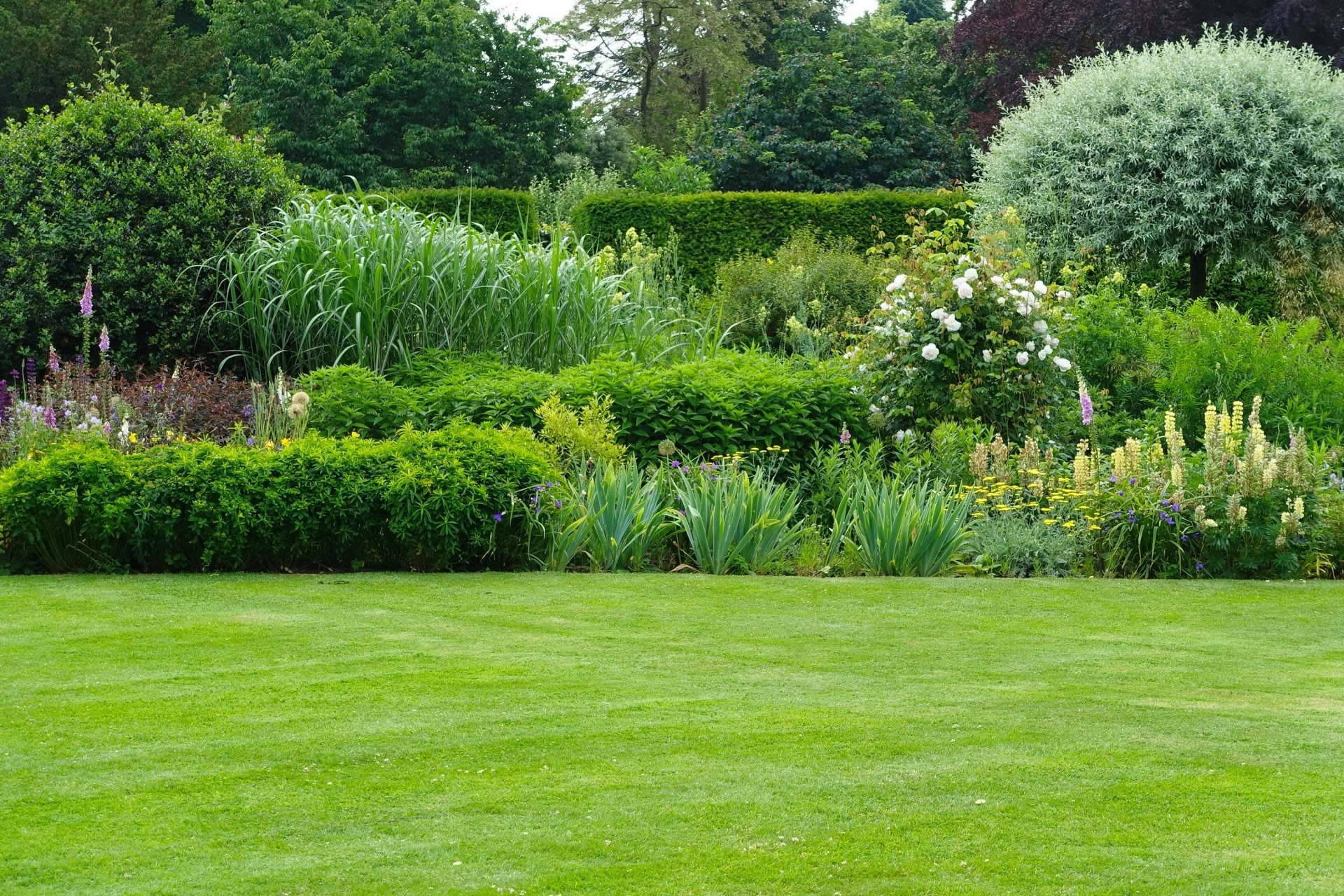 Las ideas de decoración para el jardín exterior de Albergrass