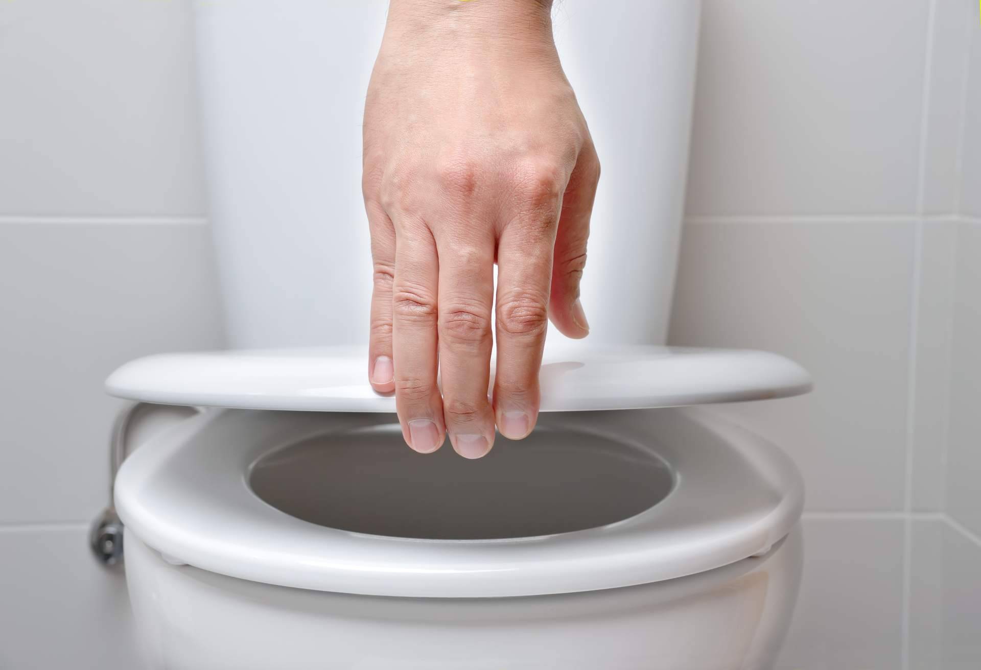 ¿Dónde conseguir una tapa de inodoro Roca Victoria? En Tapadelwater.com