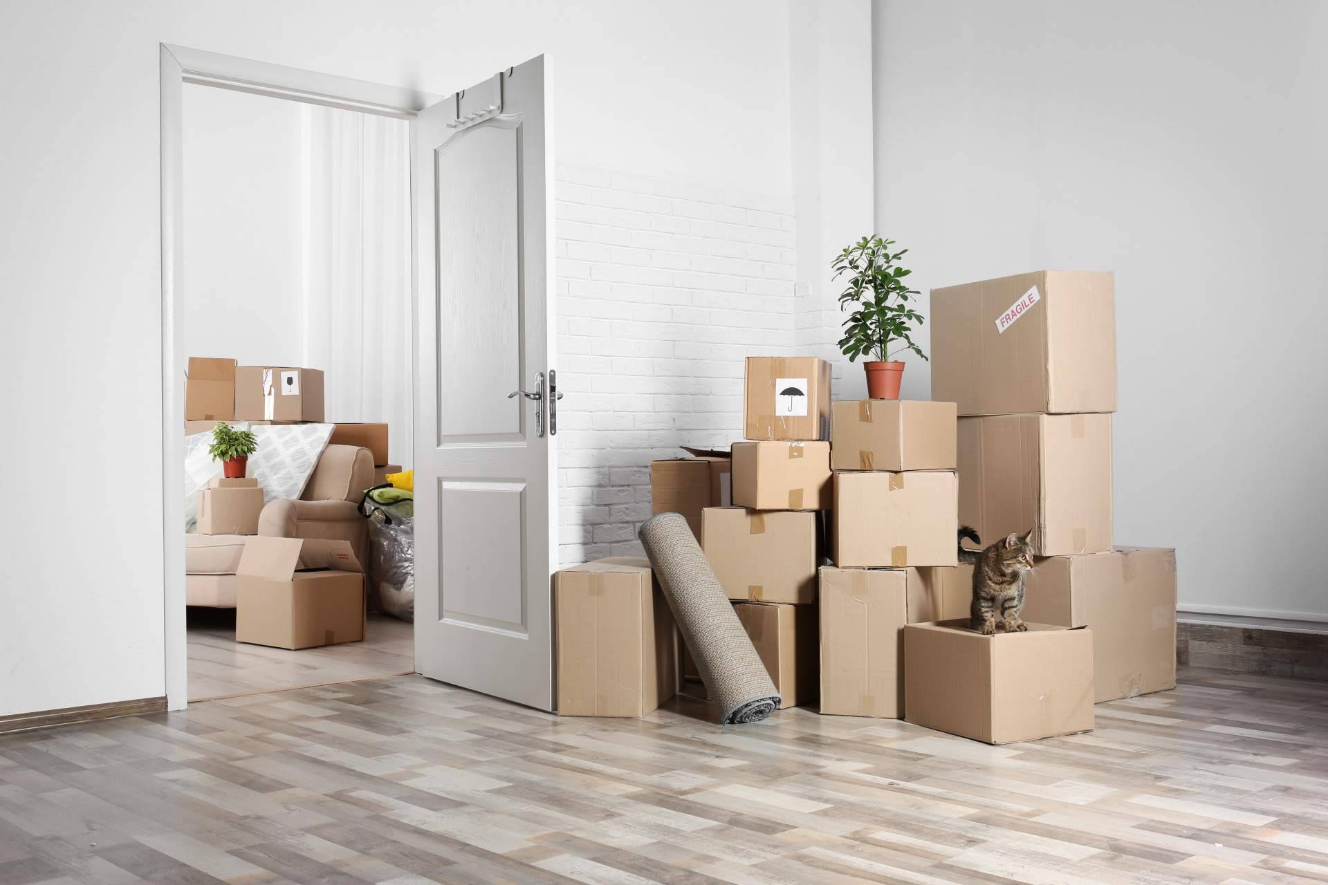 Redmoving y sus servicios de mudanzas a Alemania
