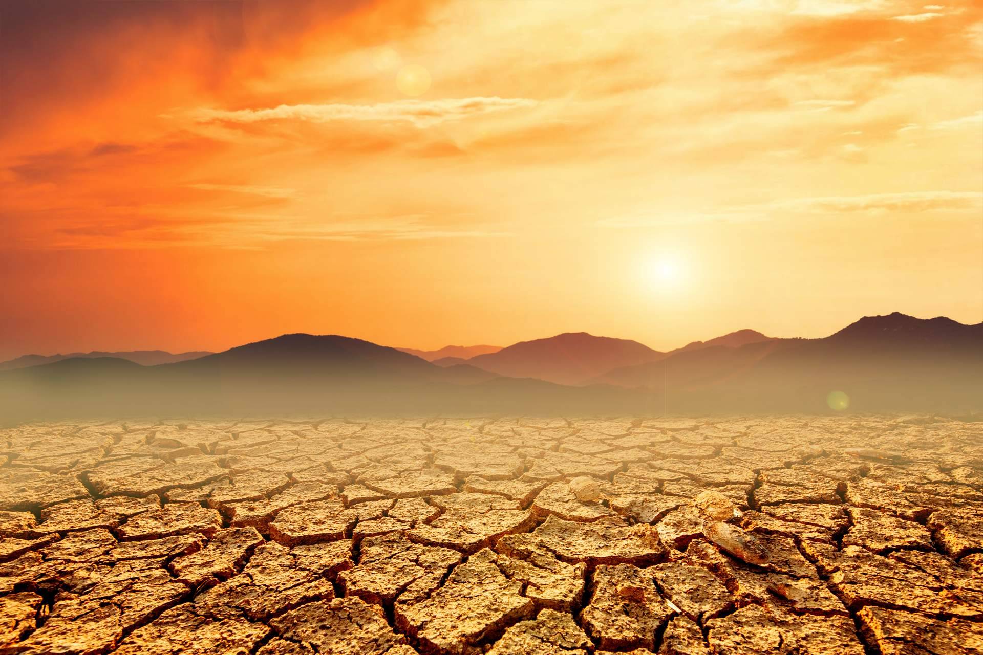 El mes de julio de 2023, registrado como el más caliente de la historia