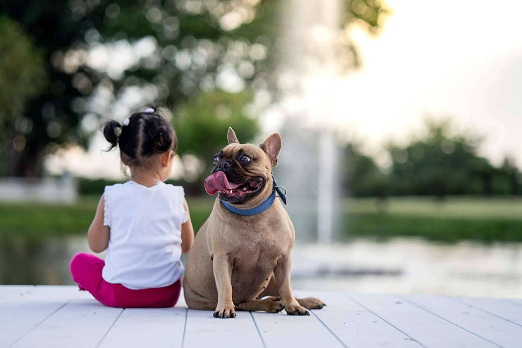 La Ley de Bienestar Animal impulsa la contratación de seguros para perros