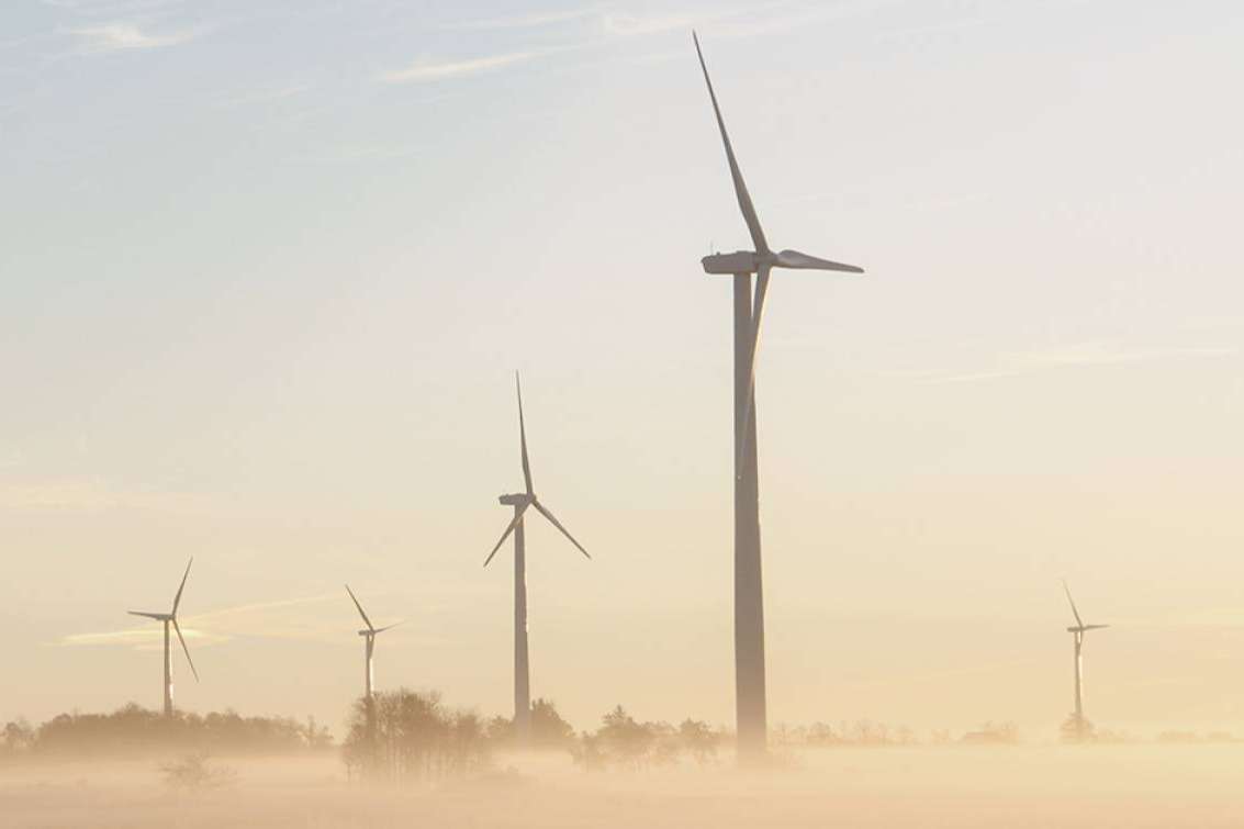 Dcycle, la plataforma dedicada a comunicar el impacto ambiental de las pymes