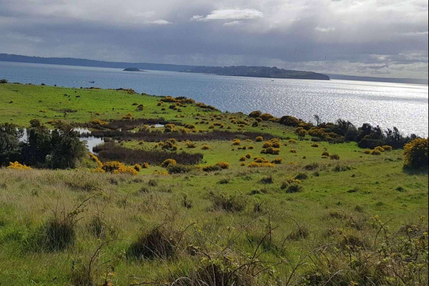 Chiloé, una tierra llena de oportunidades, de la mano de Latitudes Australes