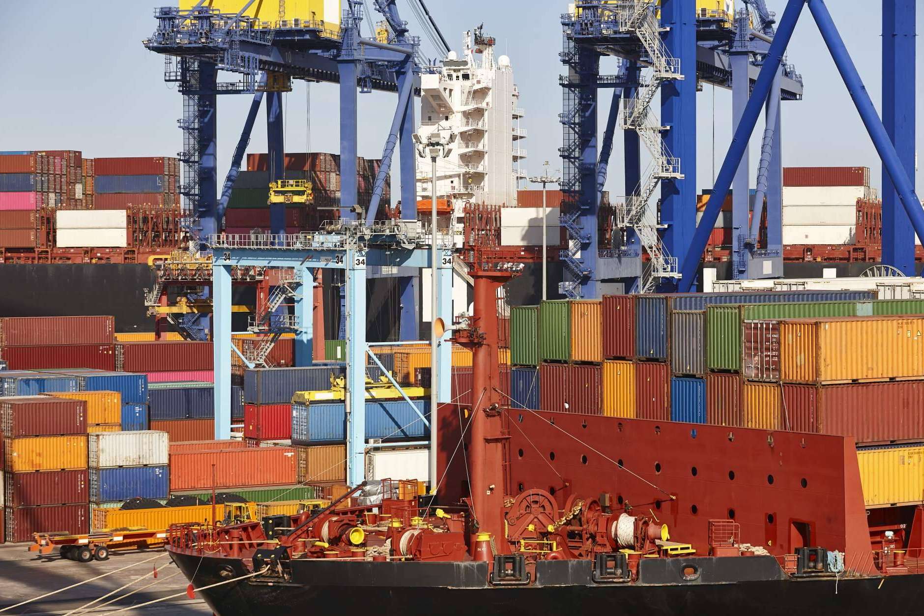 Transporte marítimo y la importancia del control de plagas en las mercancías