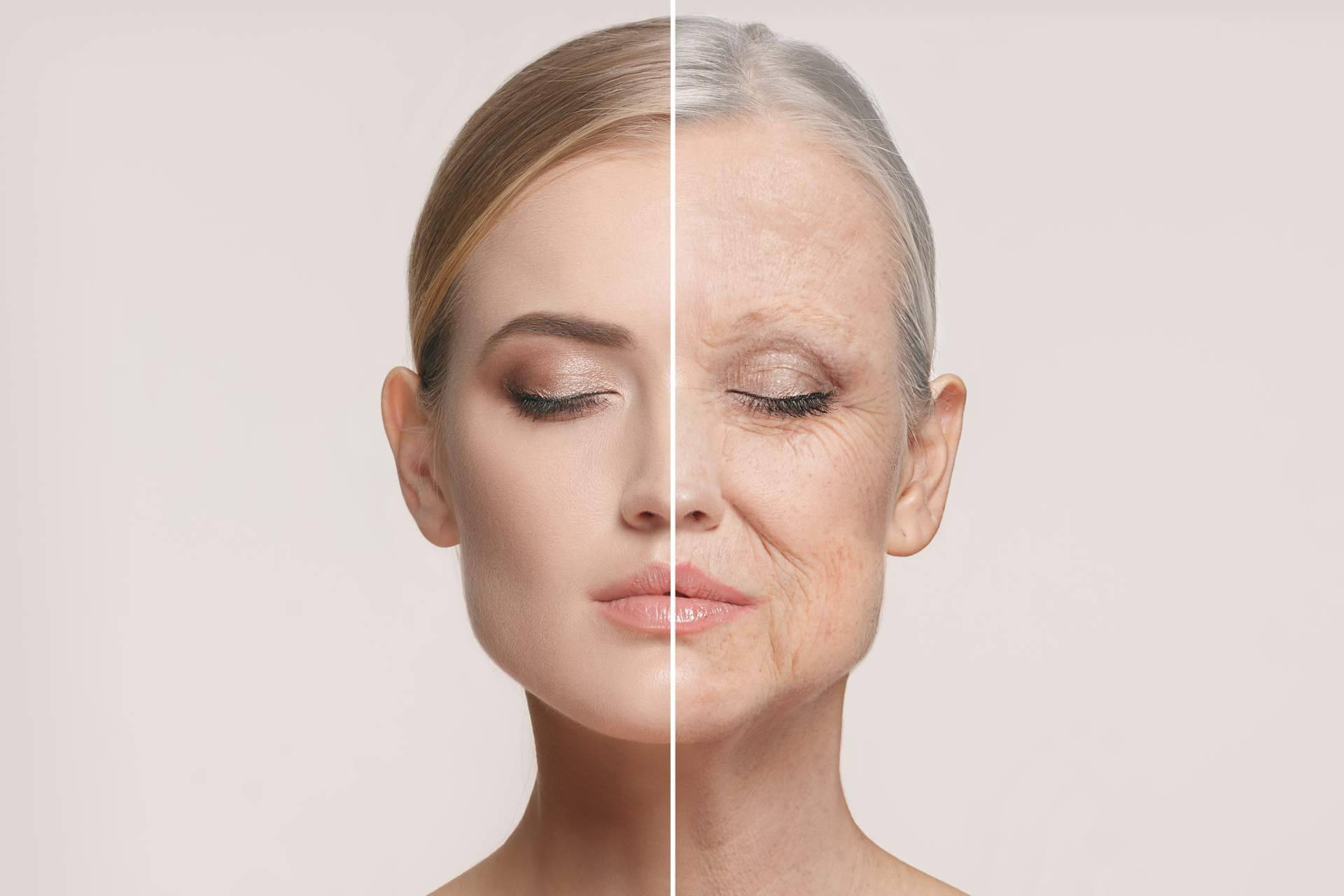 Terapias para eliminar las células senescentes, con COEUS Retroaging