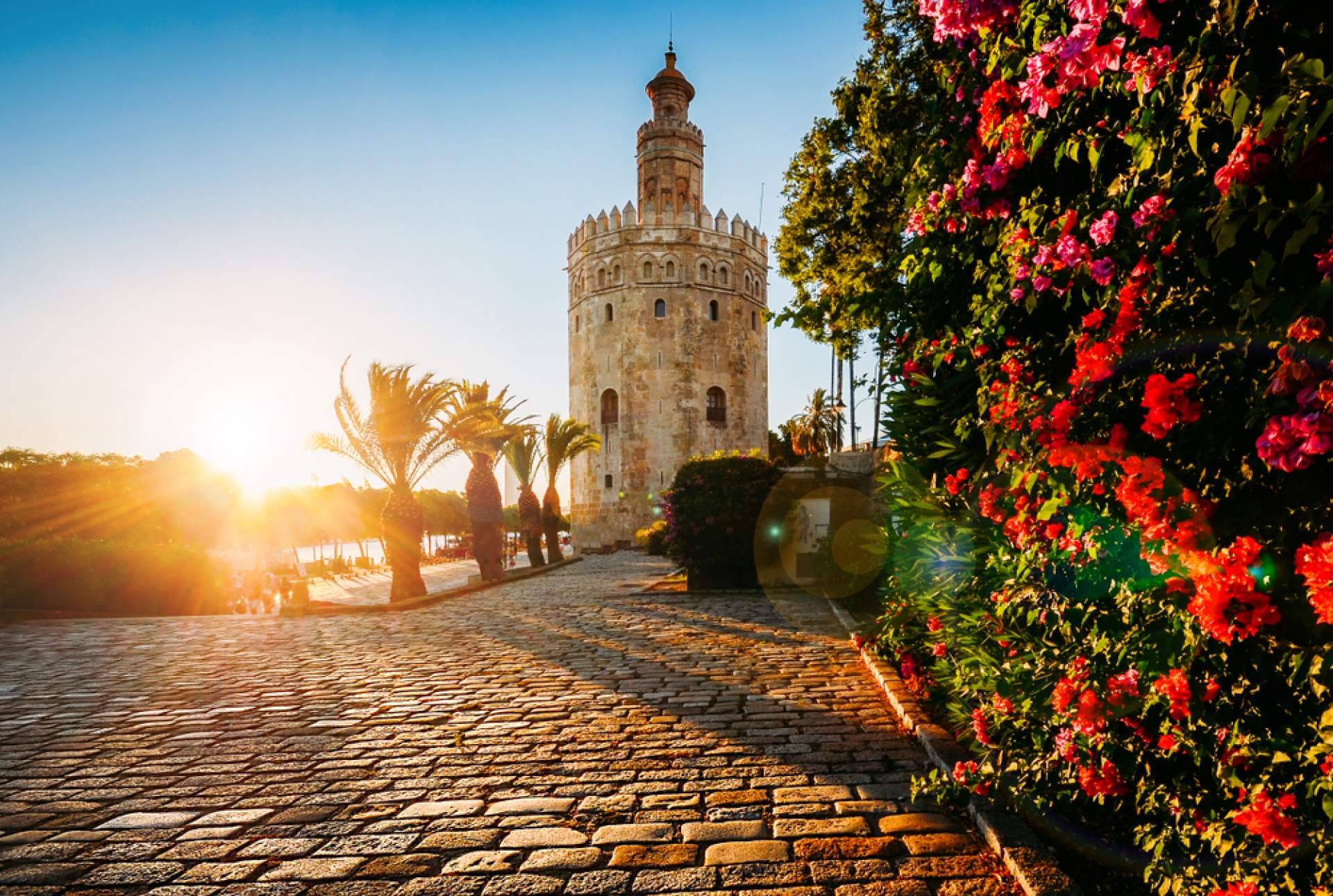 Smart Local Tour, los mejores free tours de Sevilla