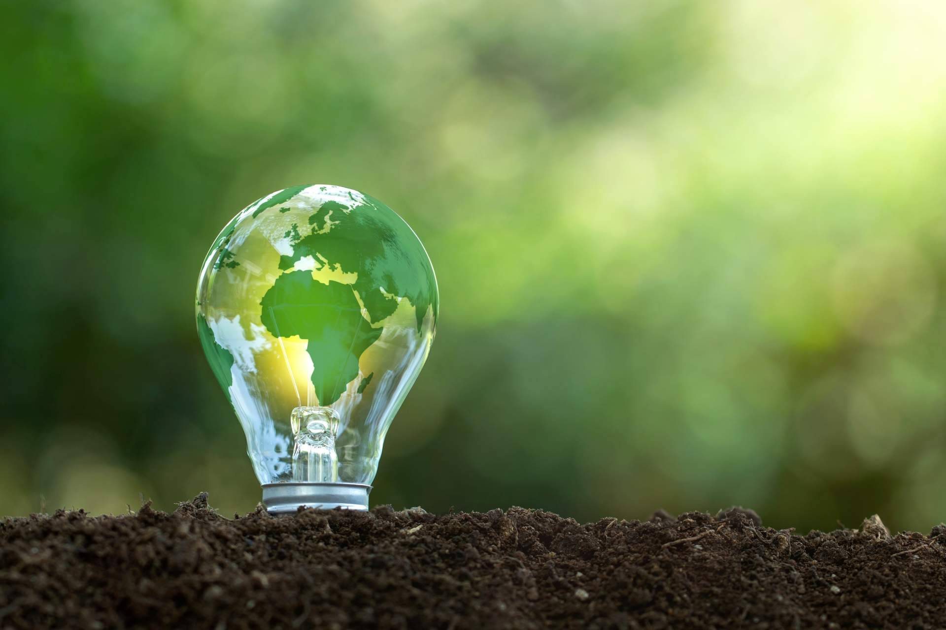El Día Mundial del Ahorro de Energía y la importancia de las energías renovables