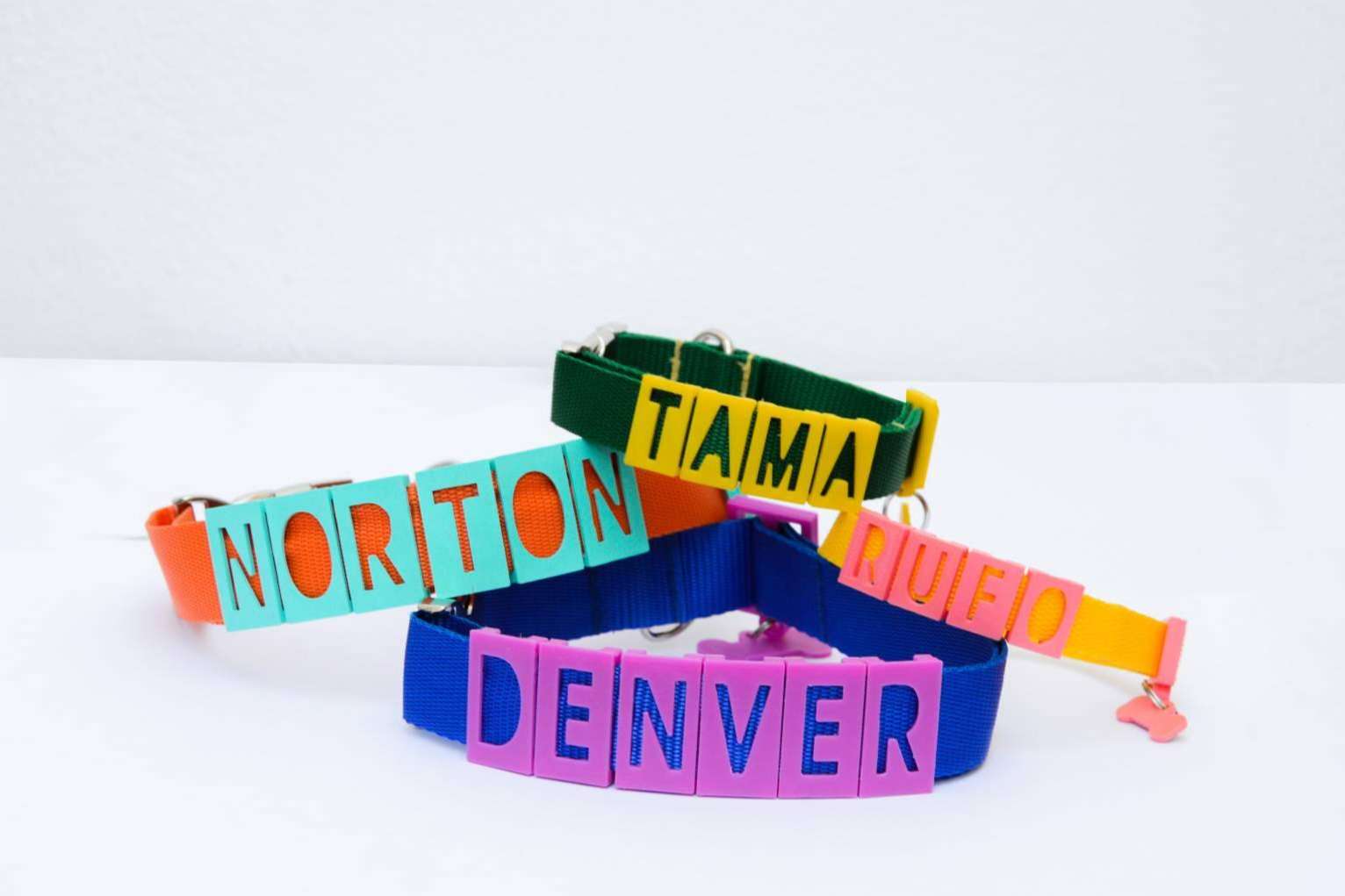 Proteger a la mascota con las chapas y collares personalizadas de Seron
