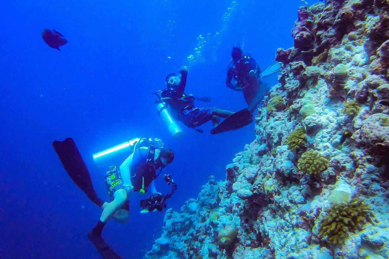 Rasdhoo, un destino perfecto para aprender a bucear en el paraíso de Maldivas con Drop Dive Maldives